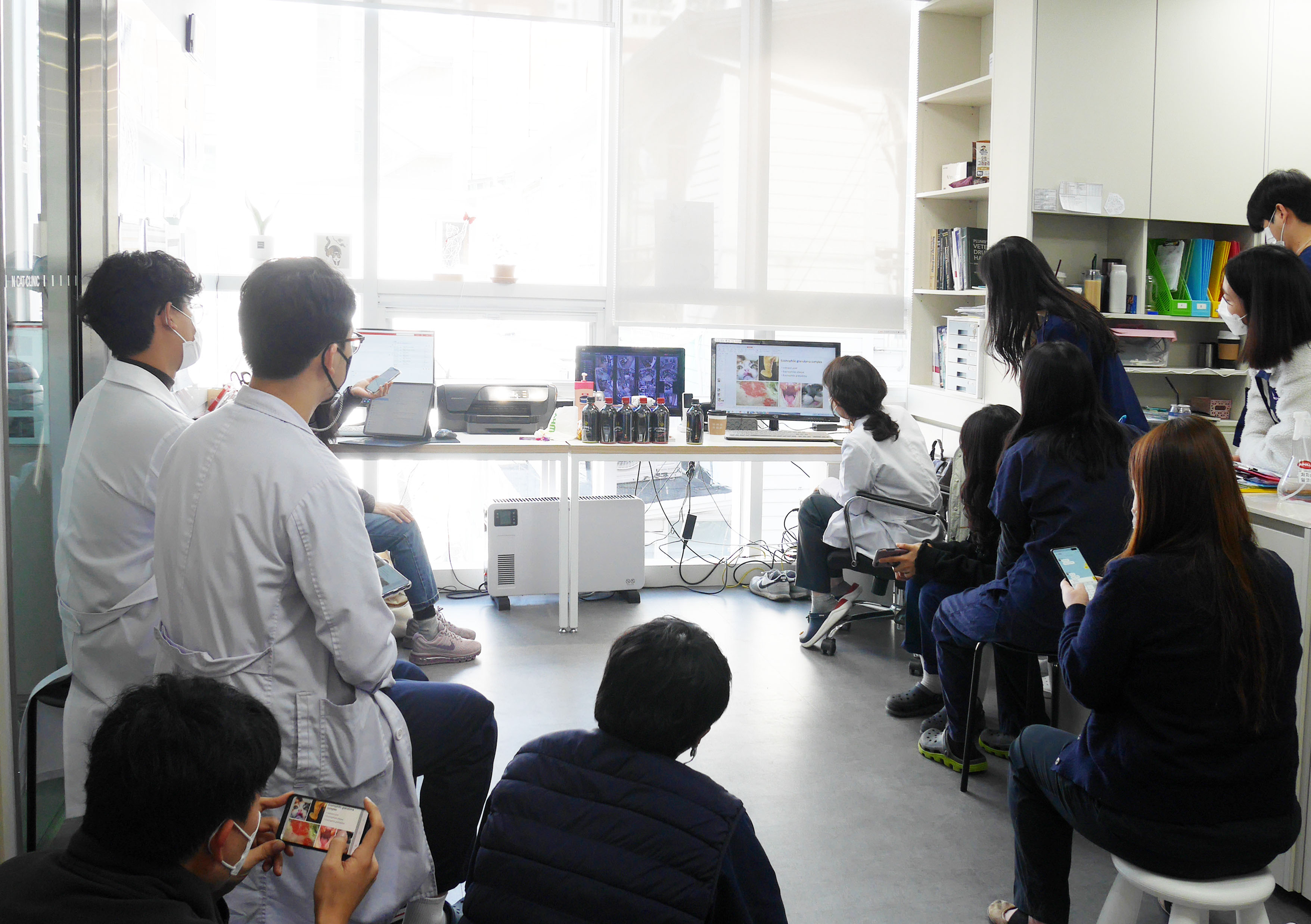 N고양이병원 대표 이미지