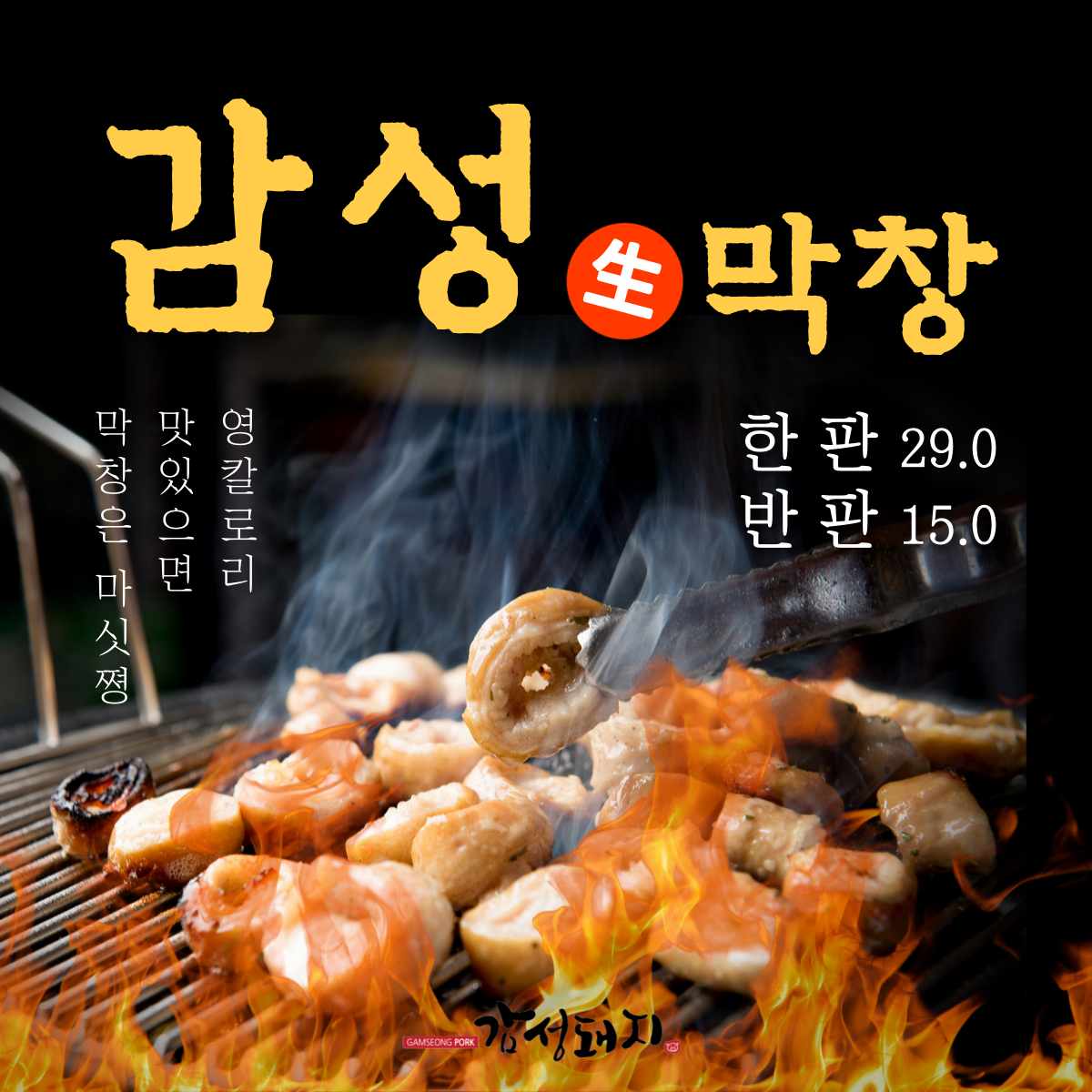 감성돼지