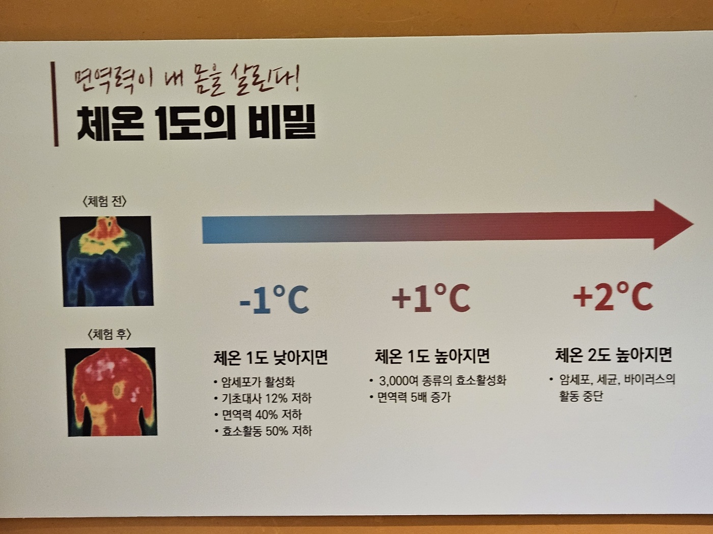 아하데이스파 대구대곡점