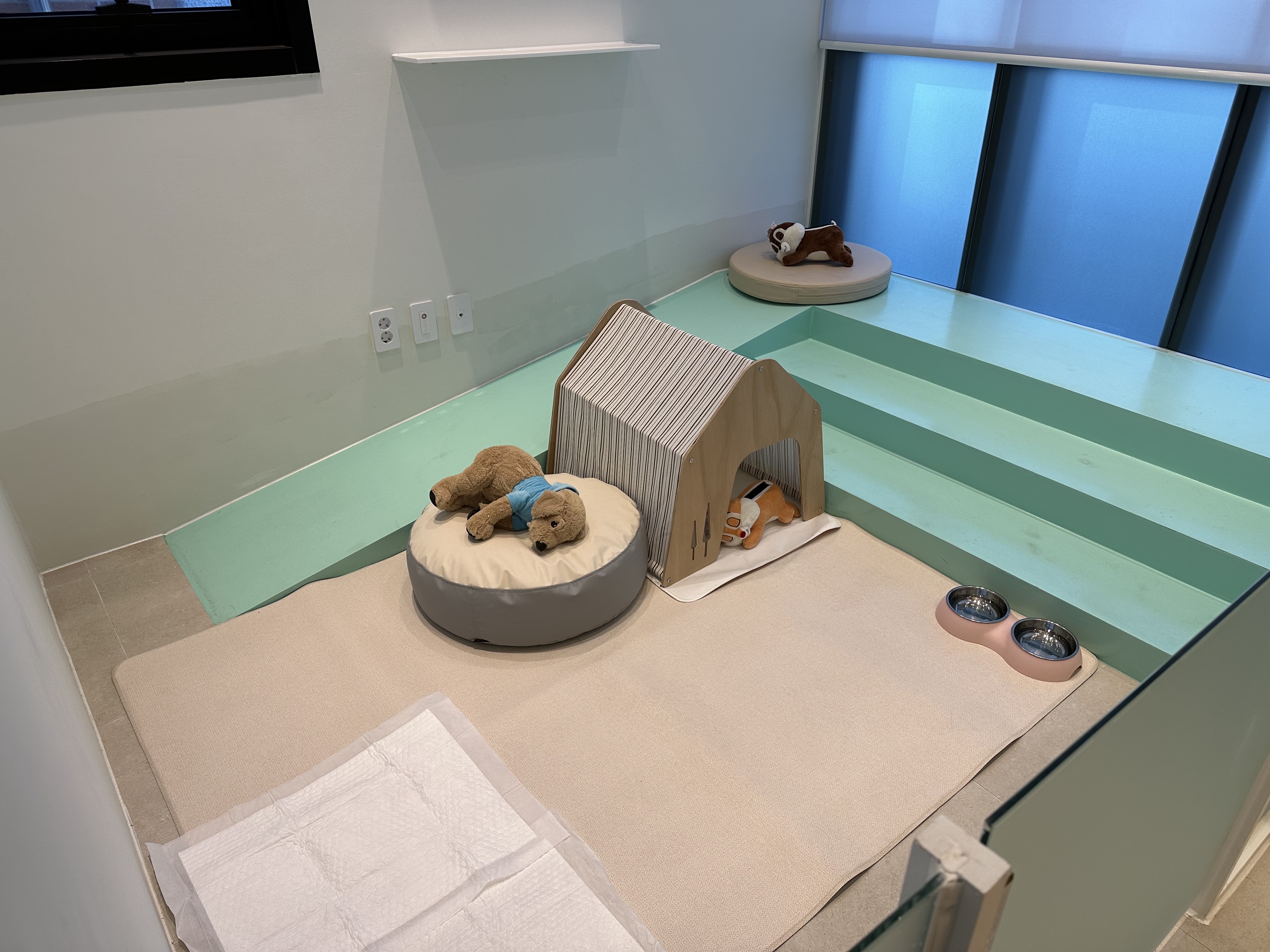 페티나트립 대표 이미지