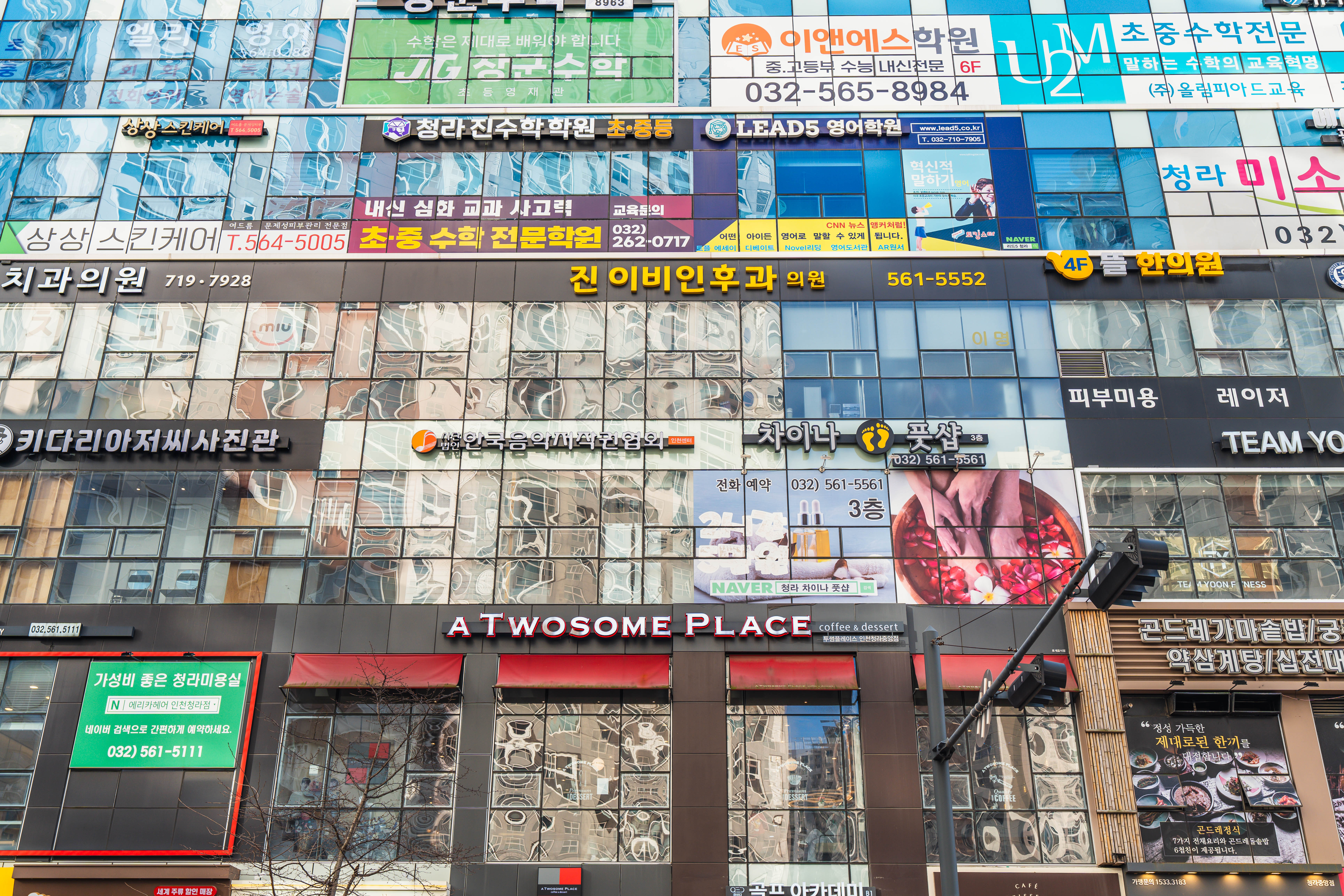 진이비인후과의원