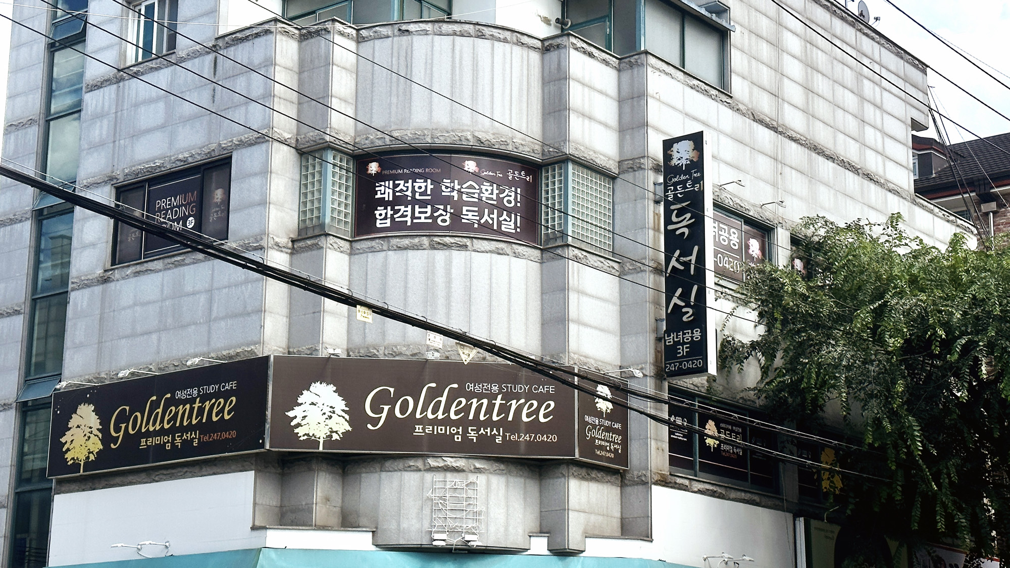 업체사진
