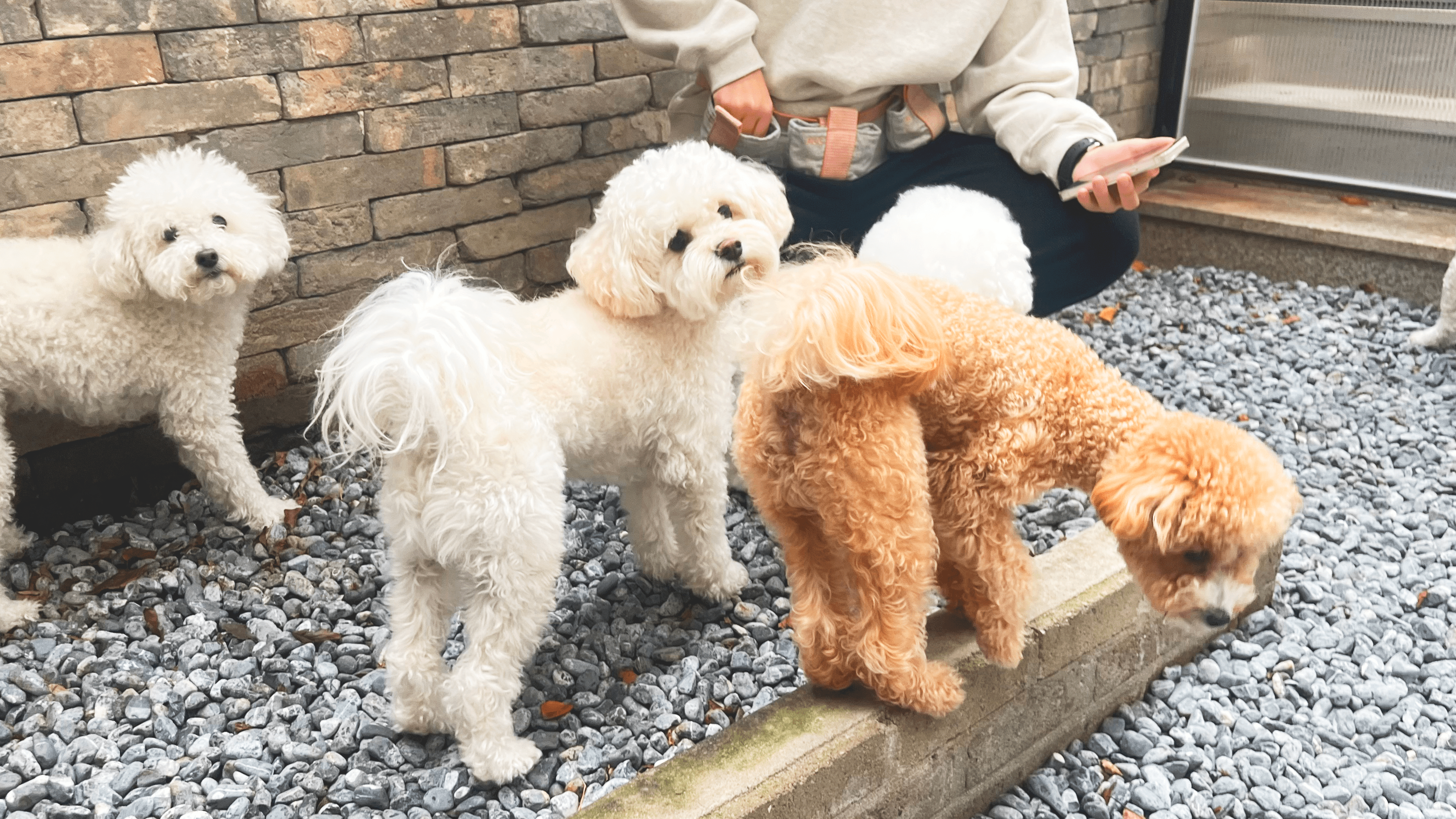 하울팟 위례점 대표 이미지