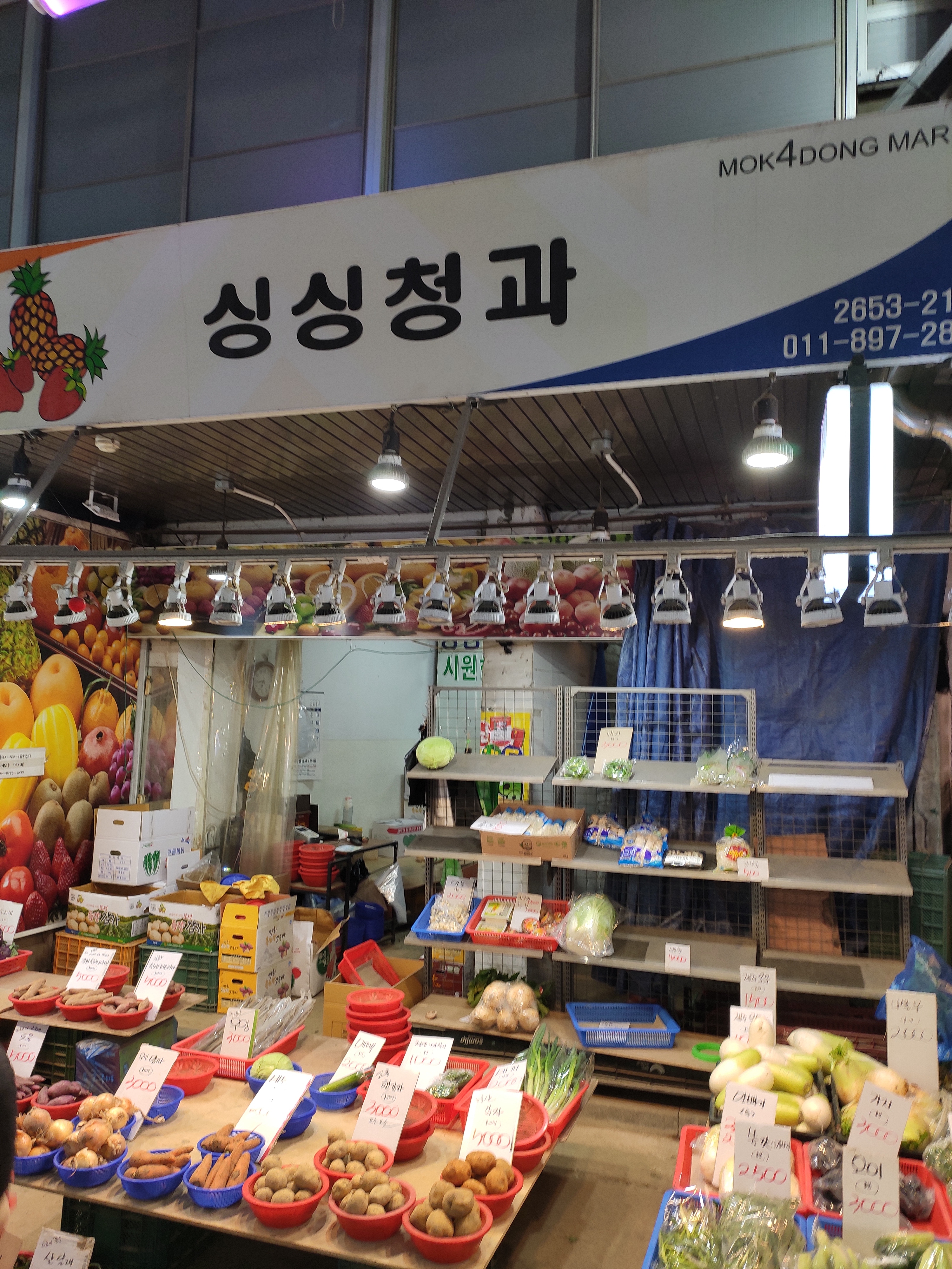 싱싱청과