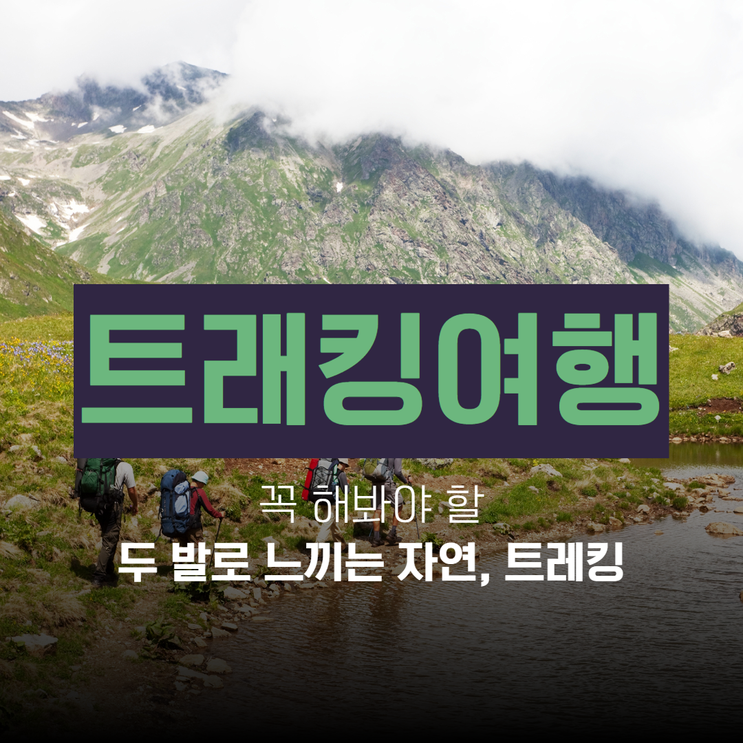 글로벌코리아투어