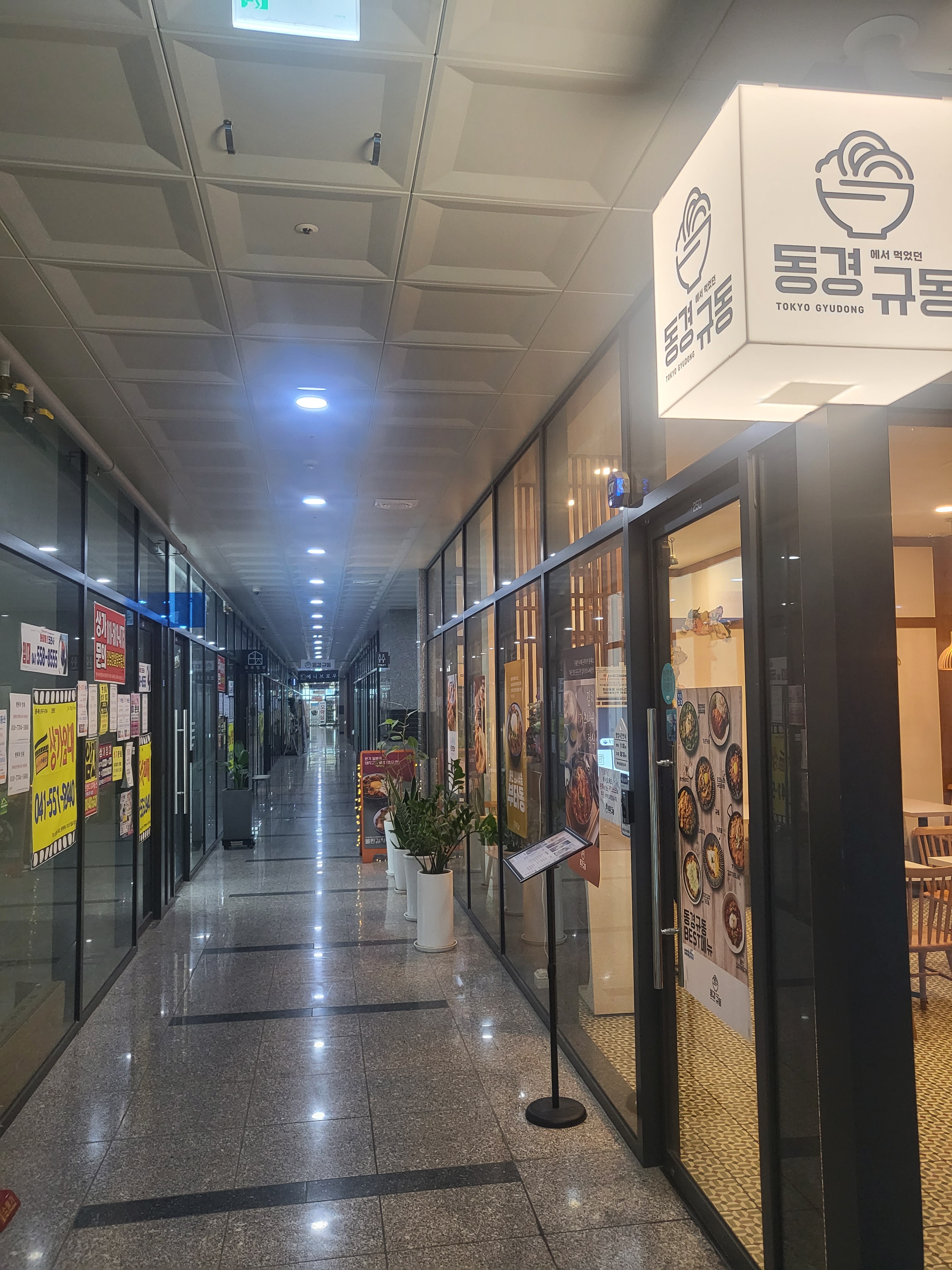 동경규동 천안신불당씨지브이점