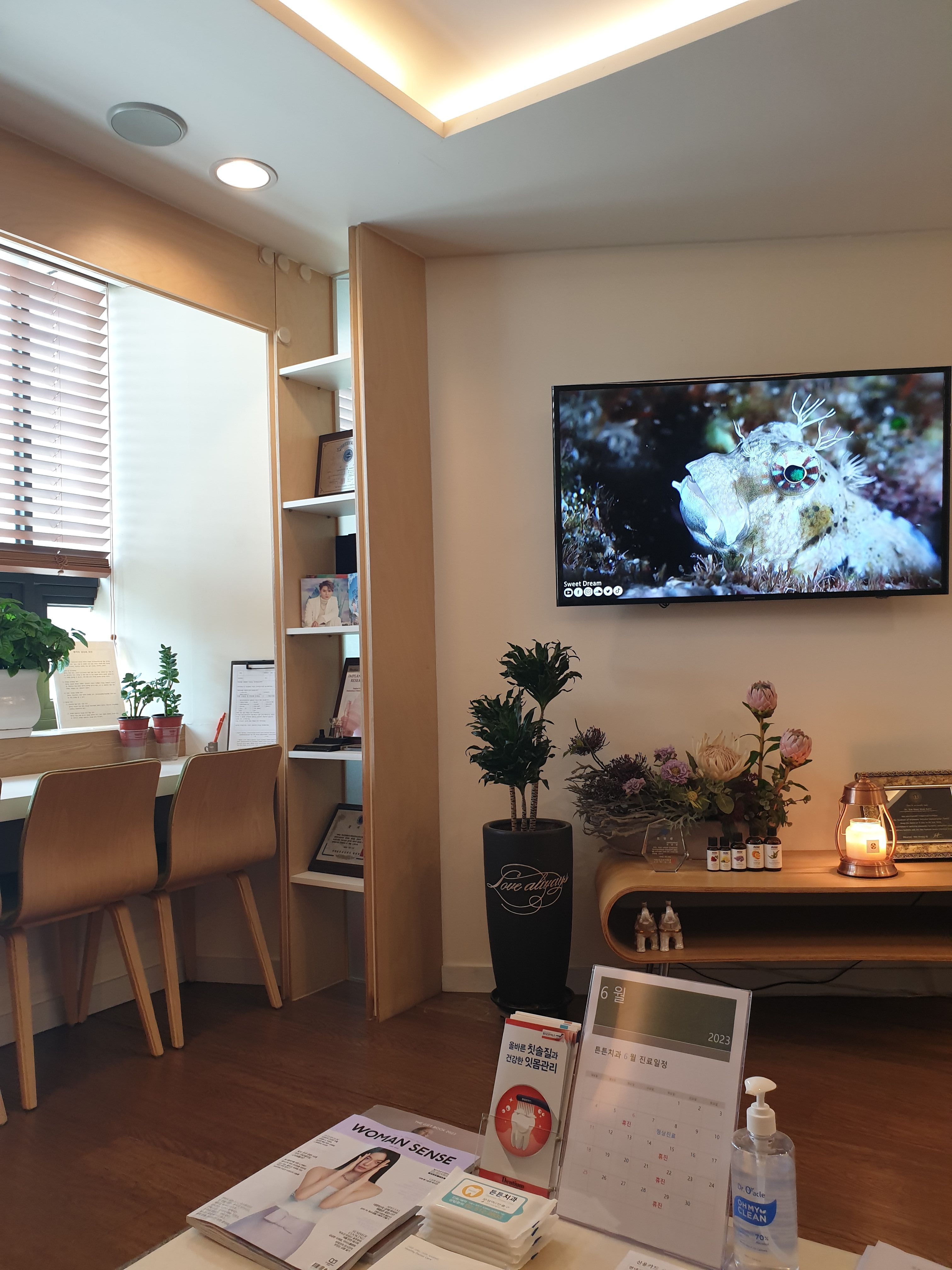 튼튼치과의원 대표 이미지