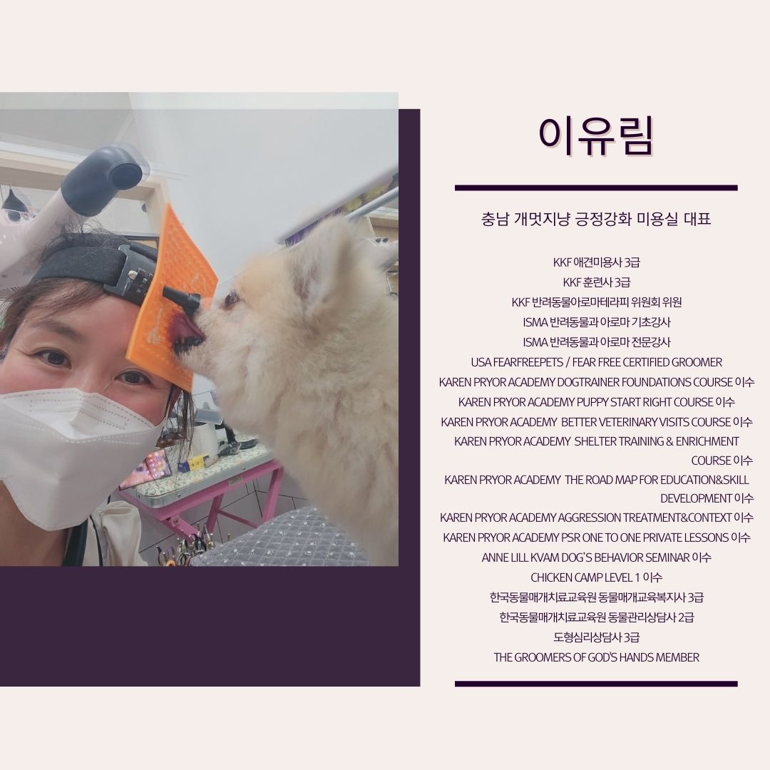 개멋지냥