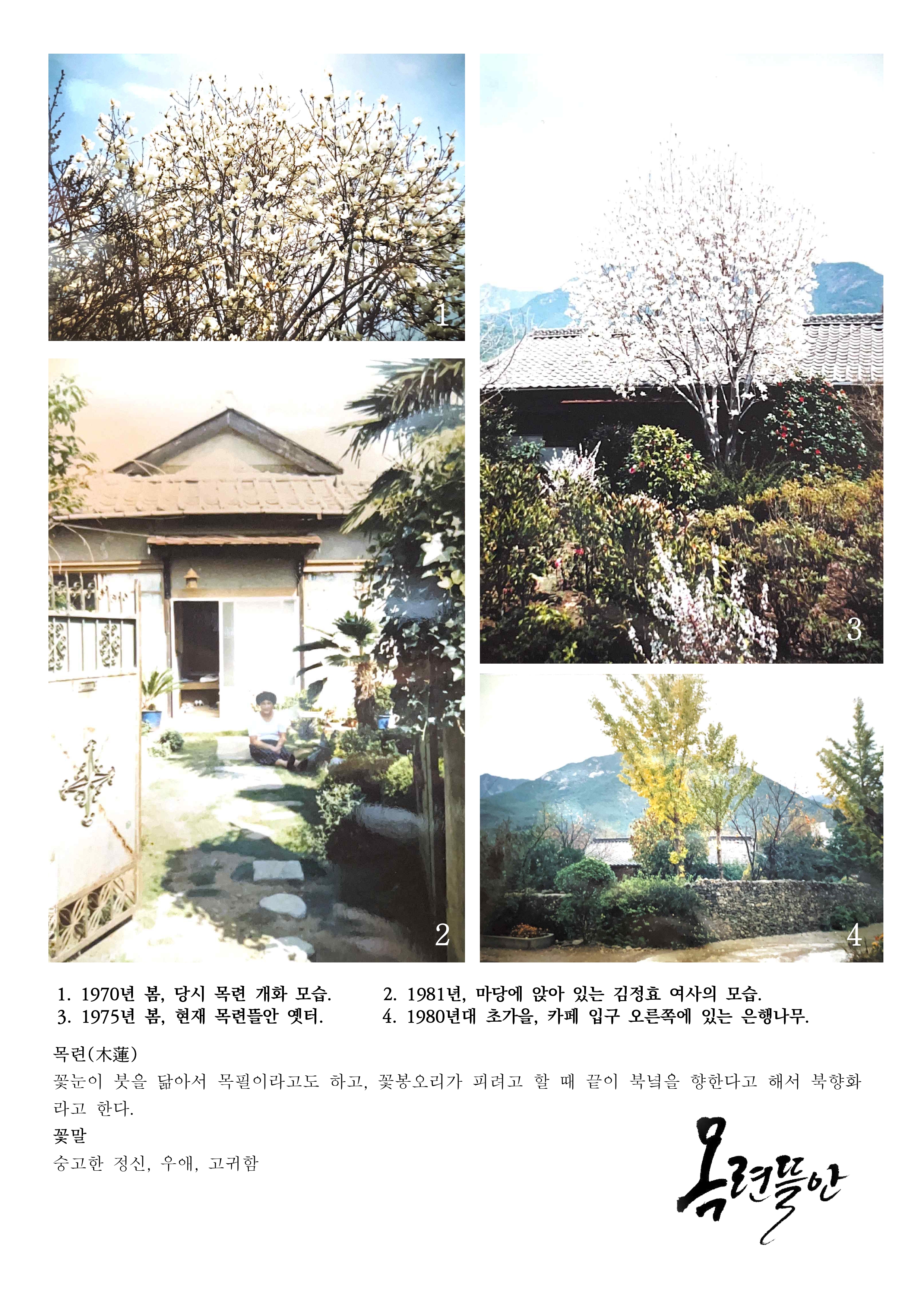 목련뜰안