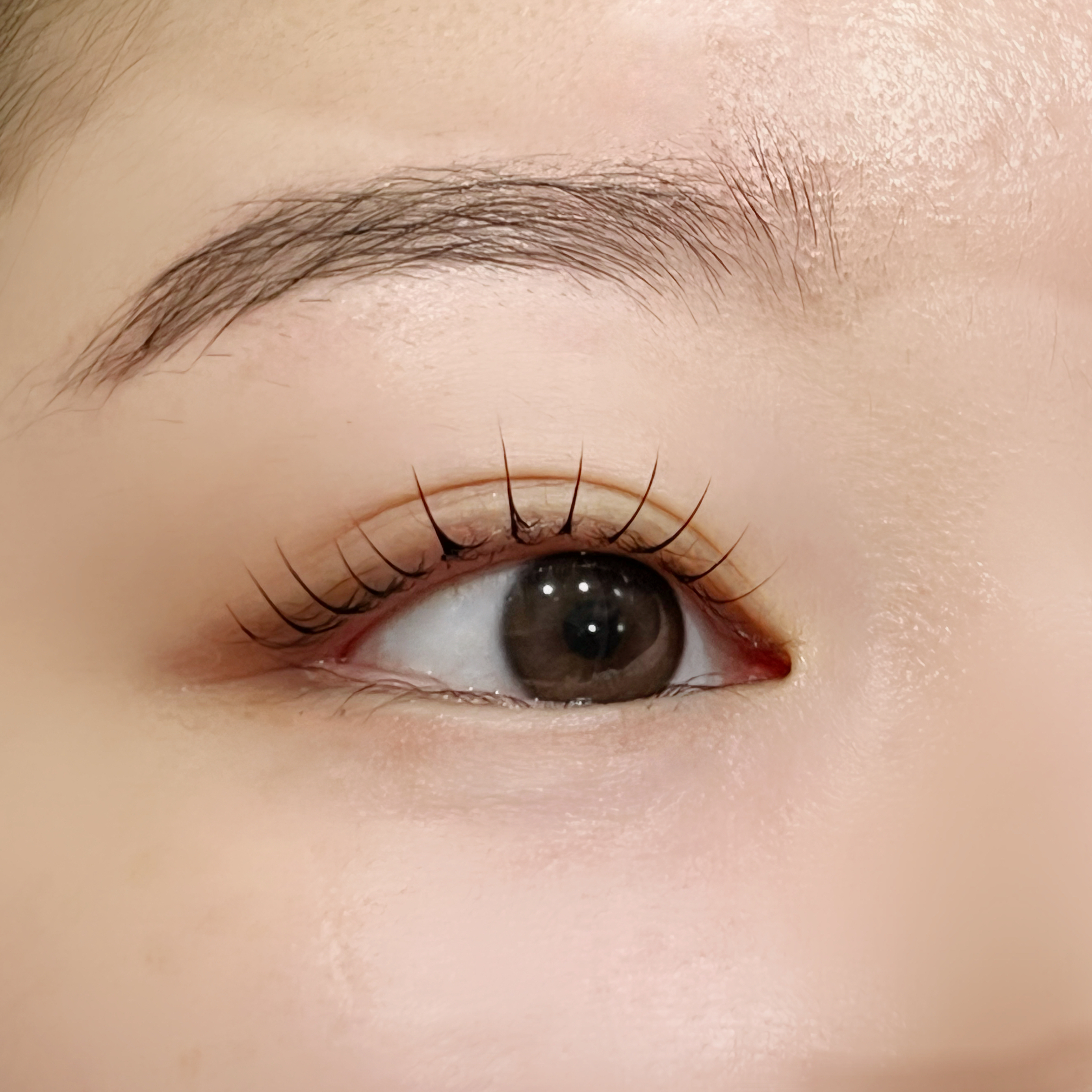 마벨브로우 대표 이미지