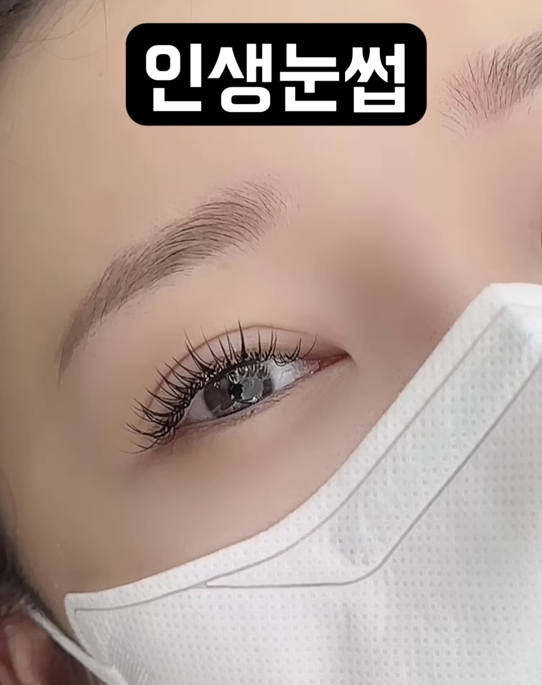 인생눈썹