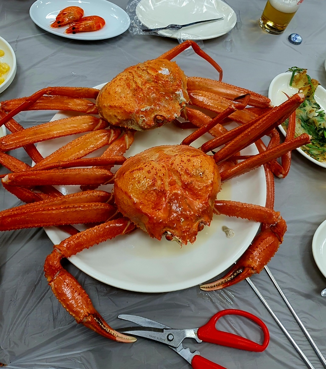 동해수산회센타