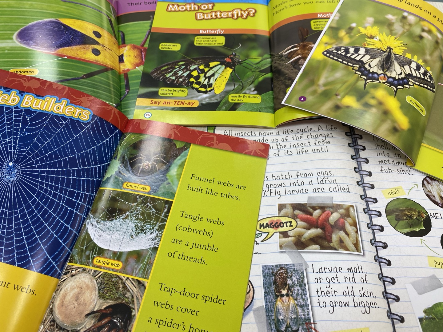 하이영어 대표 이미지