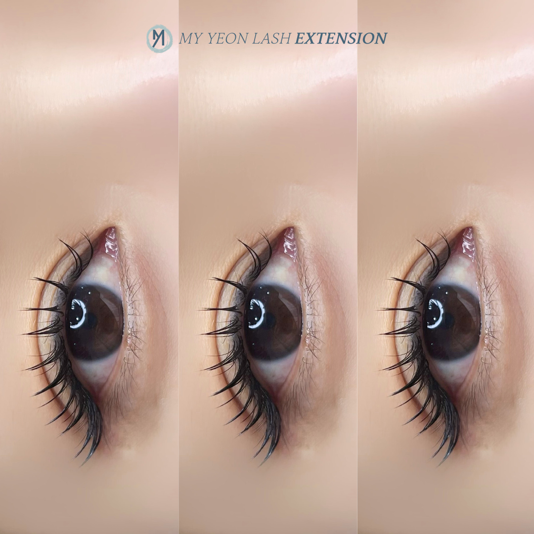 마이연래쉬 대표 이미지