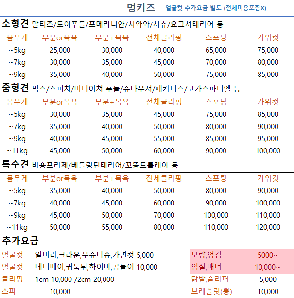 멍키즈 대표 이미지