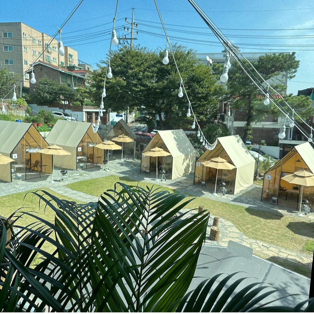도심속그릴 반려동물 동반 애견카페