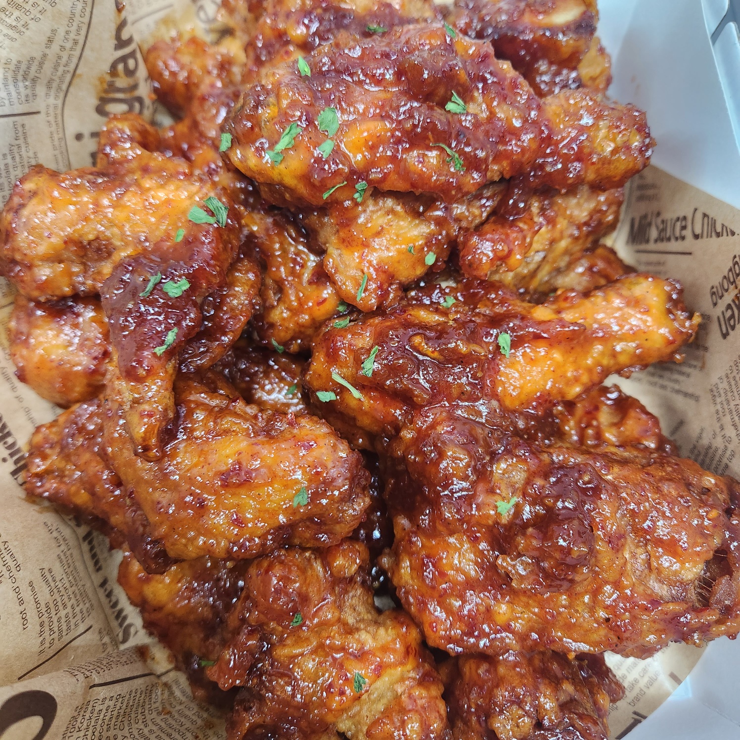 피치파파 경상 애견맛집