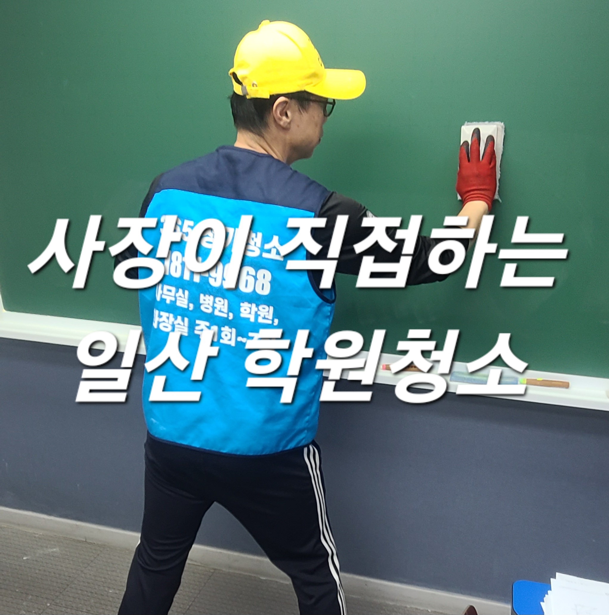 365정기청소