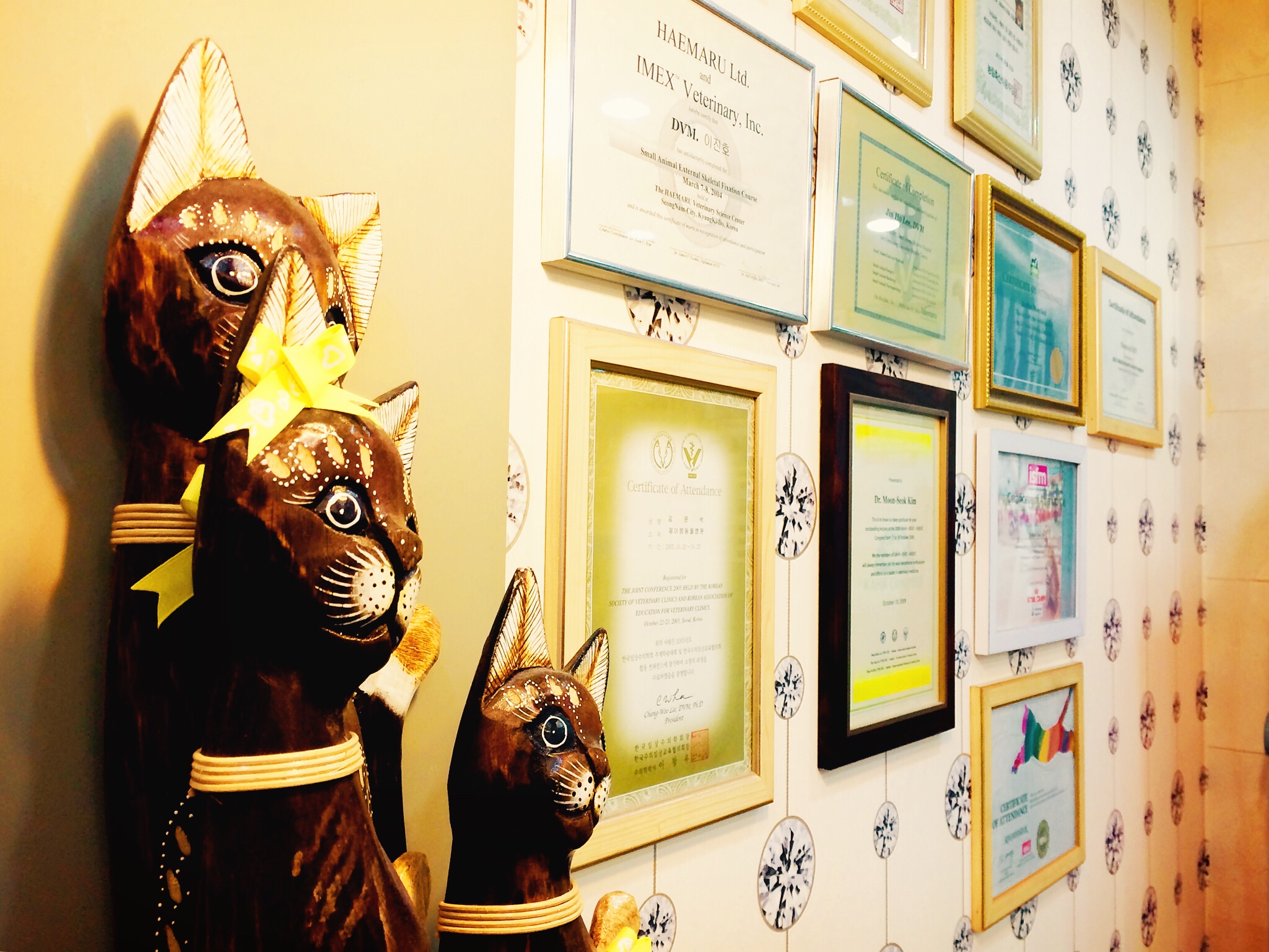 제이엠동물병원 대표 이미지