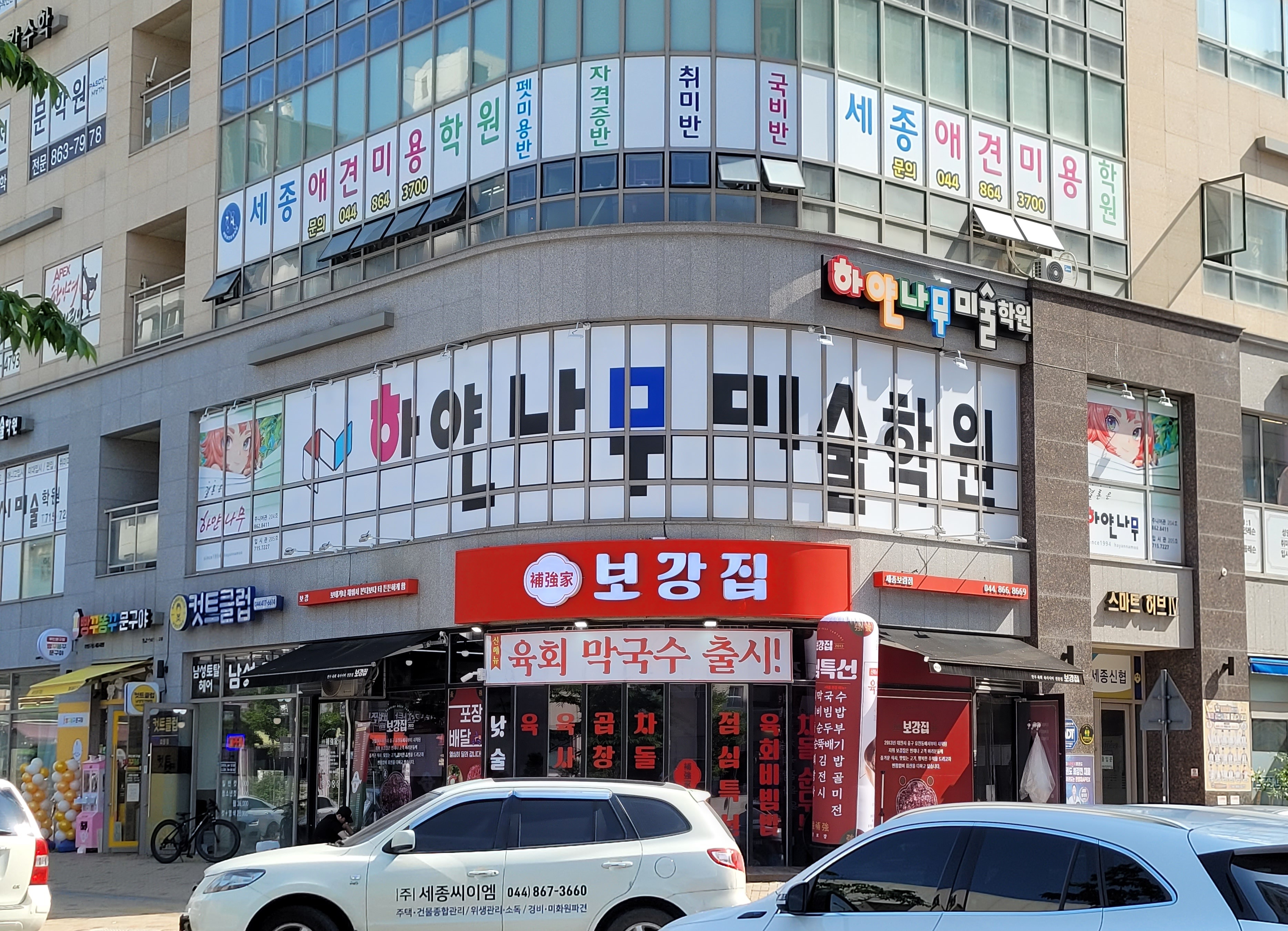 하얀나무입시미술학원