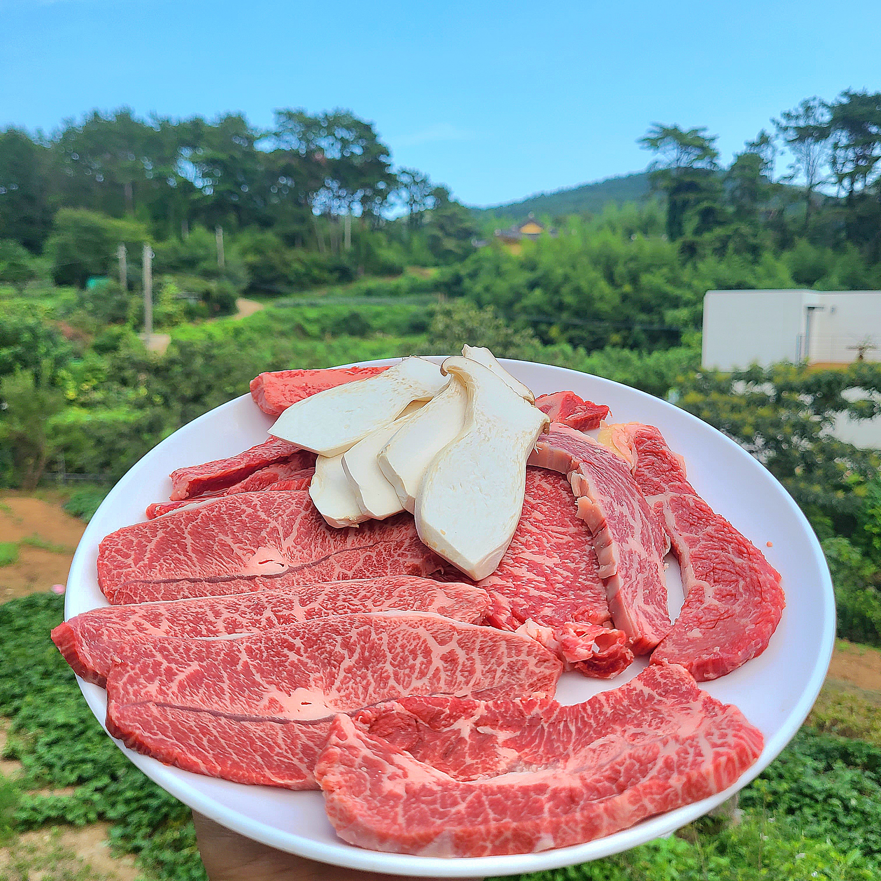 철마한우 산마루