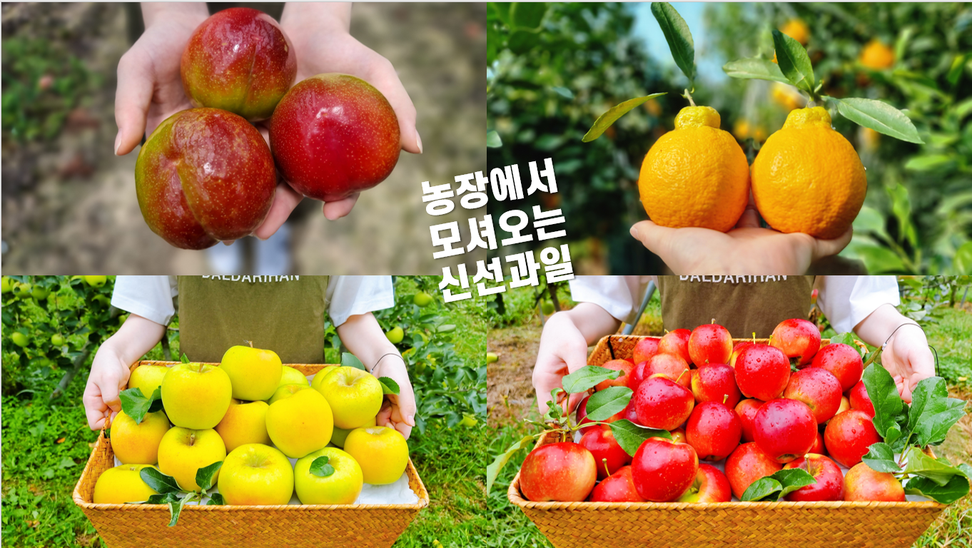 달다리한