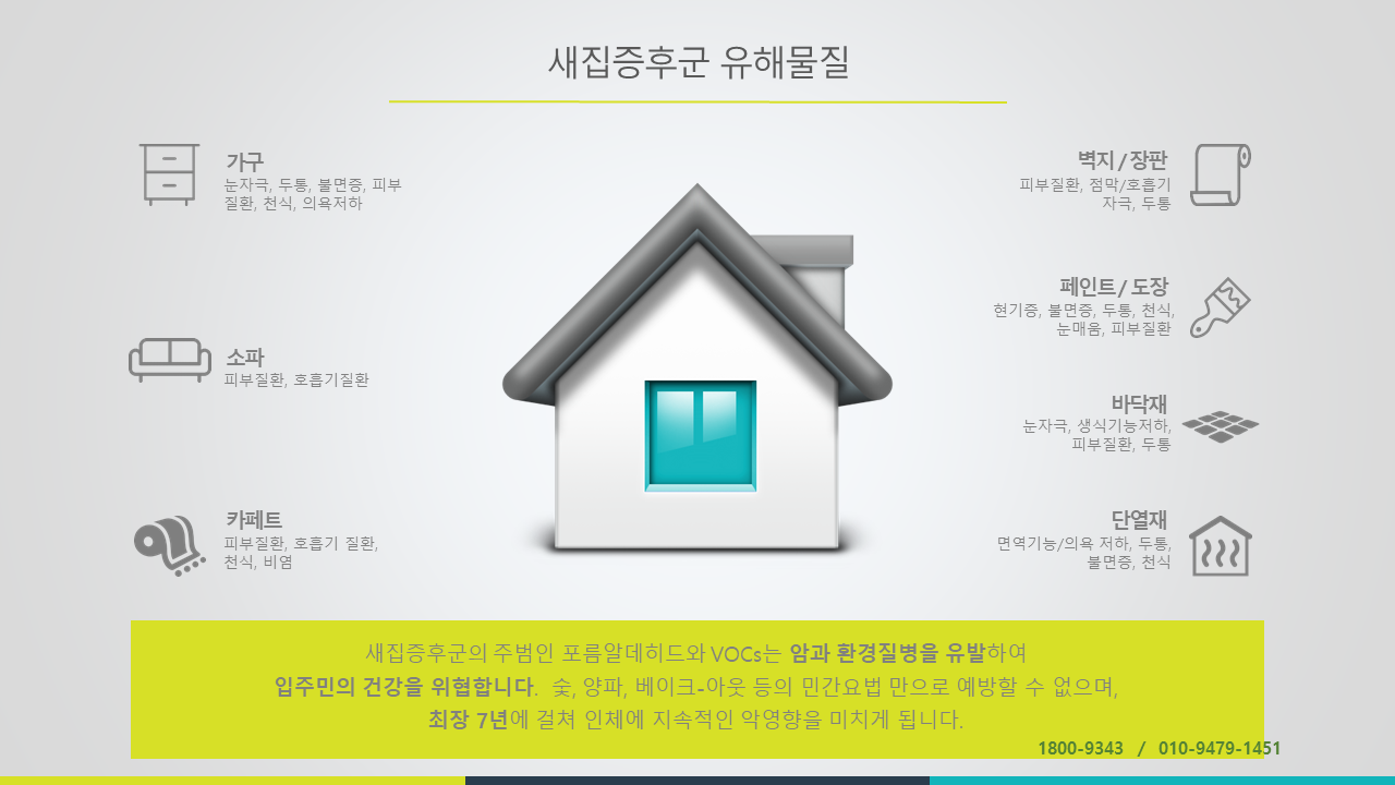 자연숲