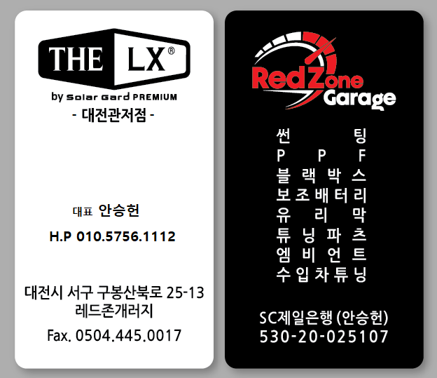 솔라가드LX 레인보우 썬팅 PPF 레드존 개러지