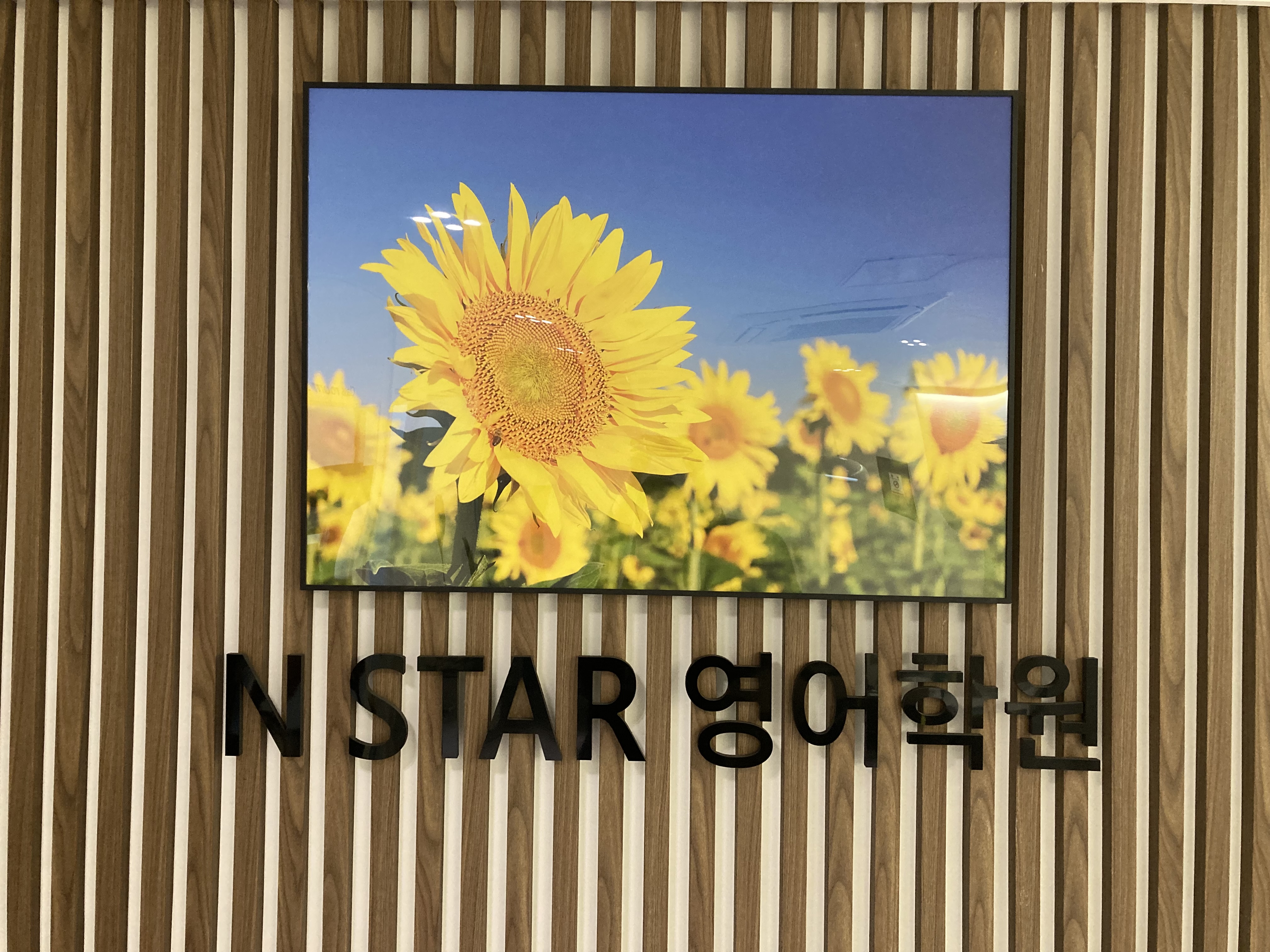 엔스타영어학원