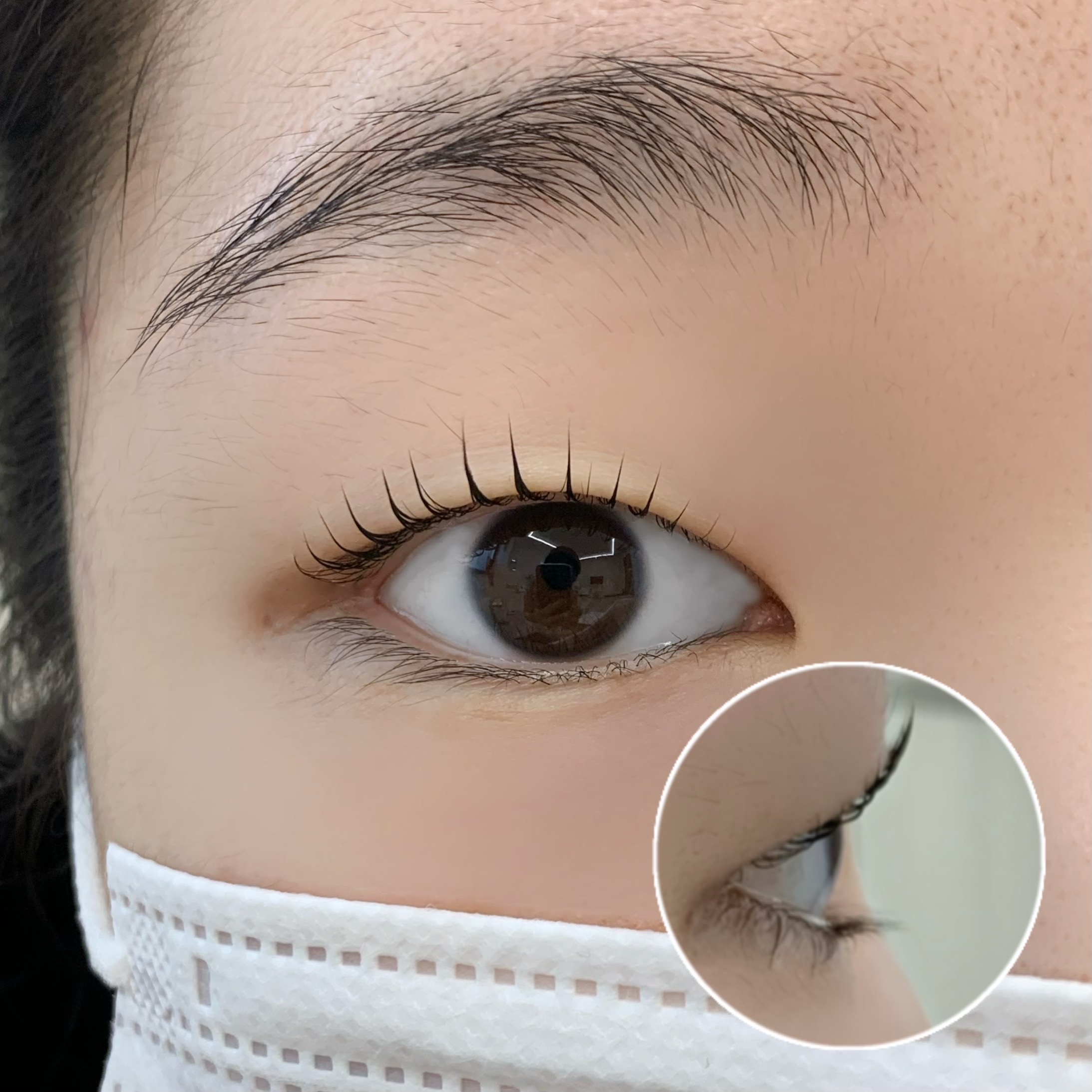 모도리브로우 대표 이미지