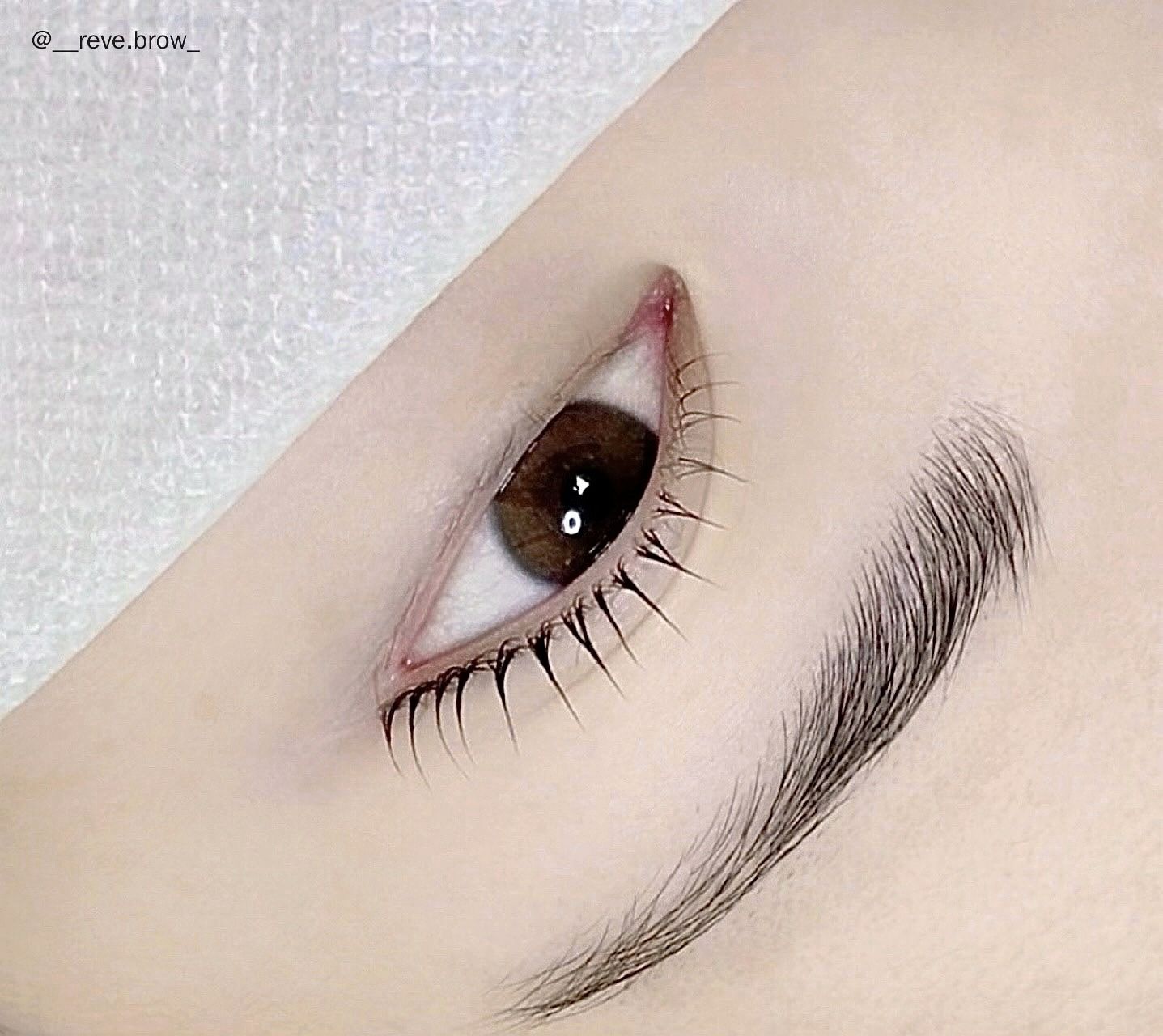 레브브로우