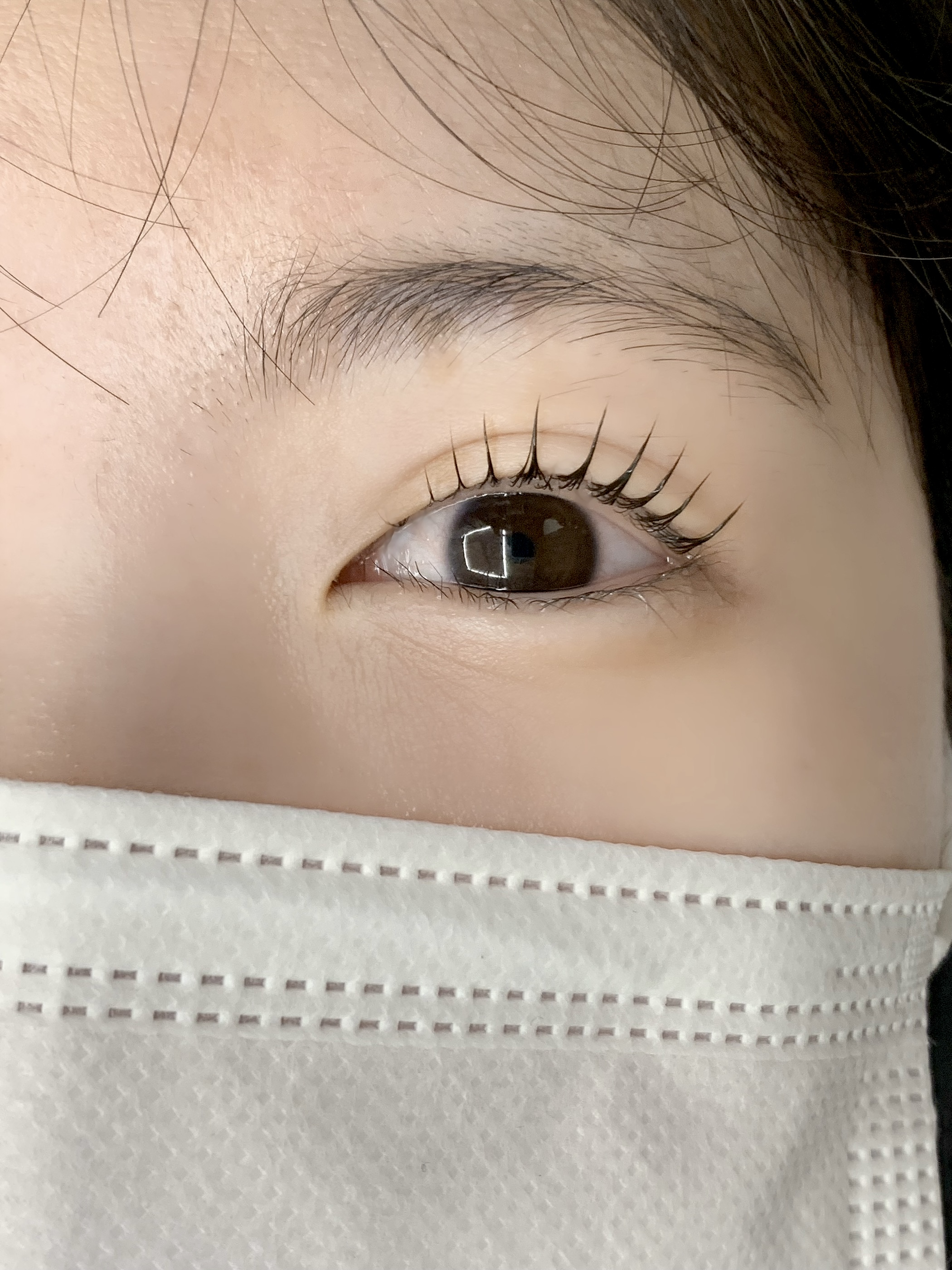 모도리브로우 대표 이미지