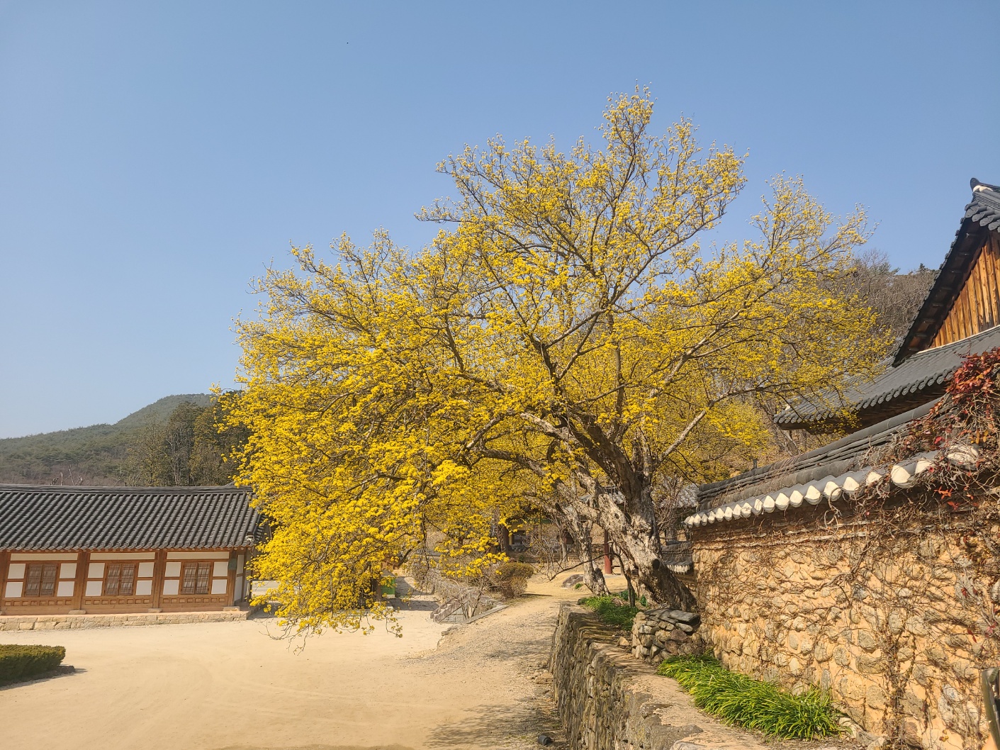 해성여행그룹협동조합