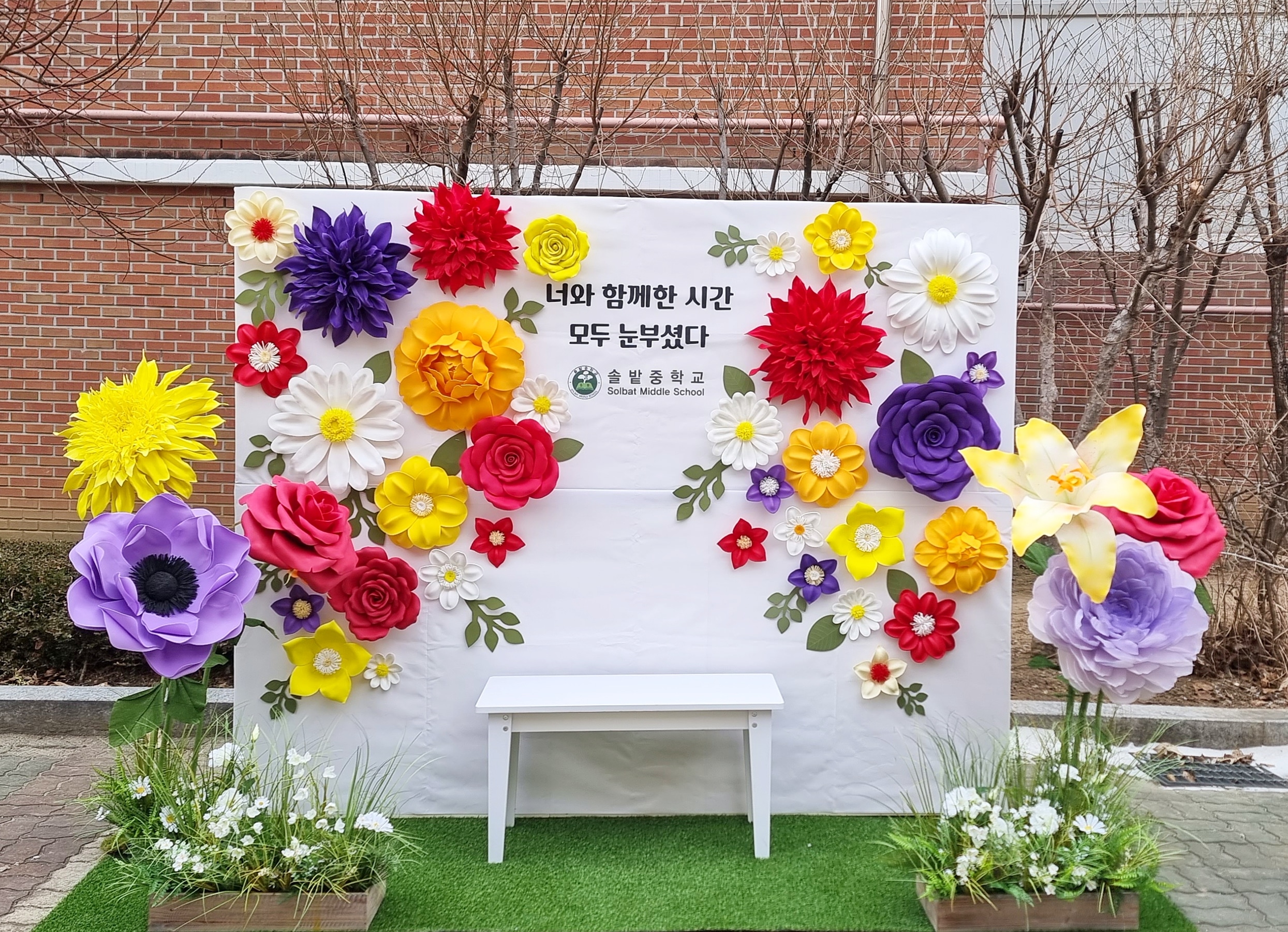 디자인아네스