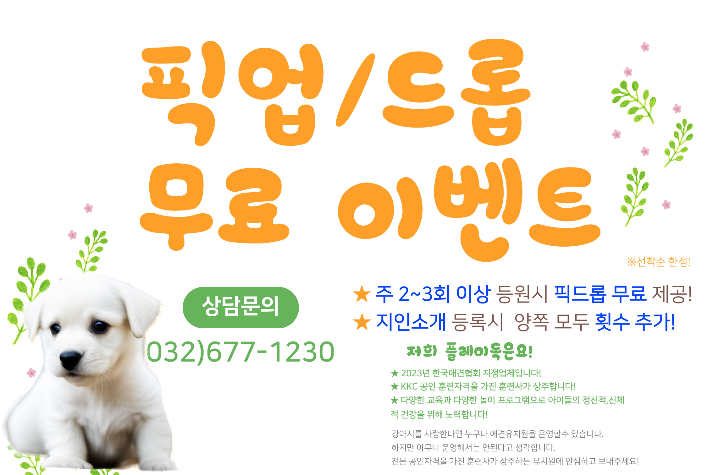 플레이독 애견유치원