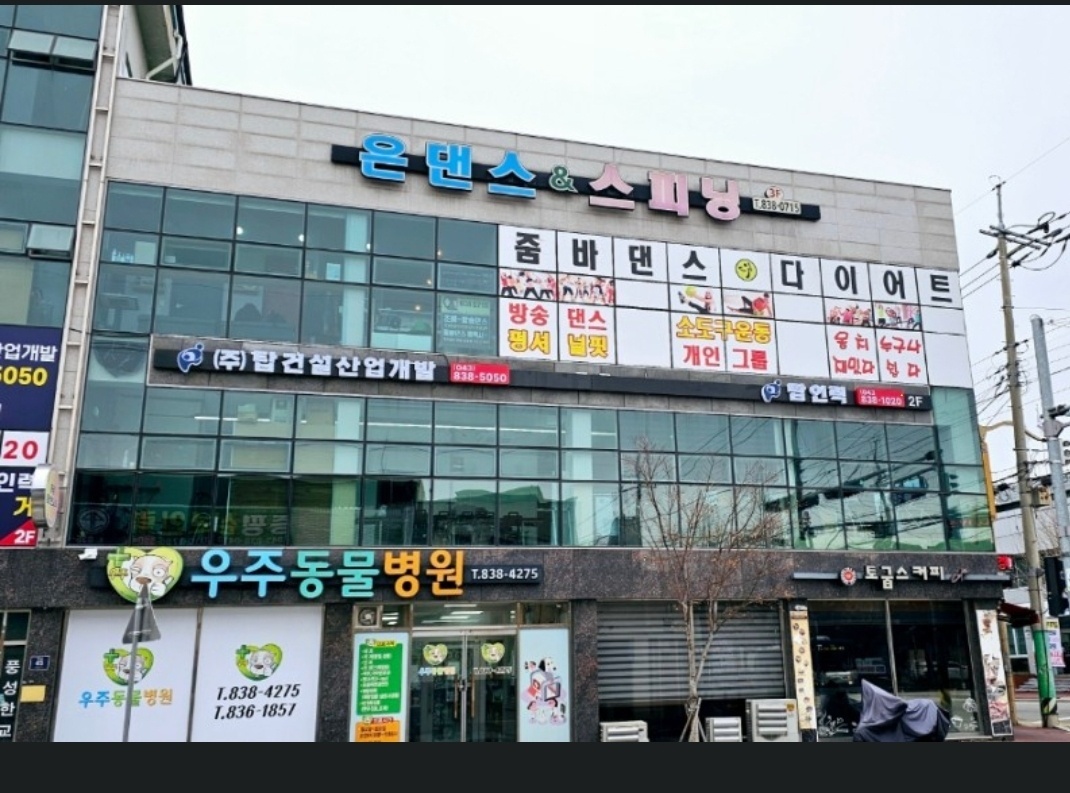 은댄스