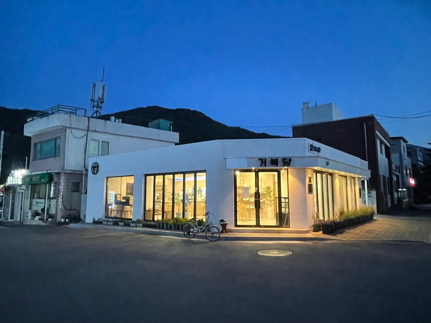 카페거북당 반려동물 동반 애견카페