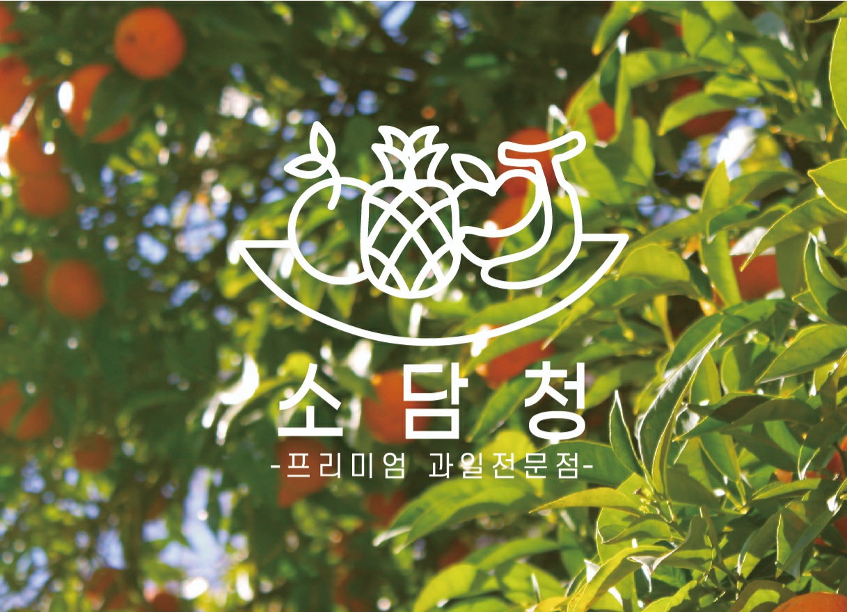 소담청