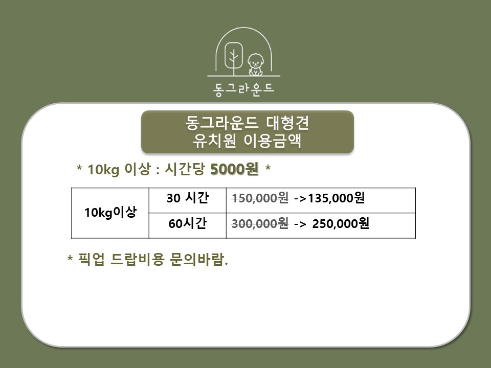 동그라운드 7