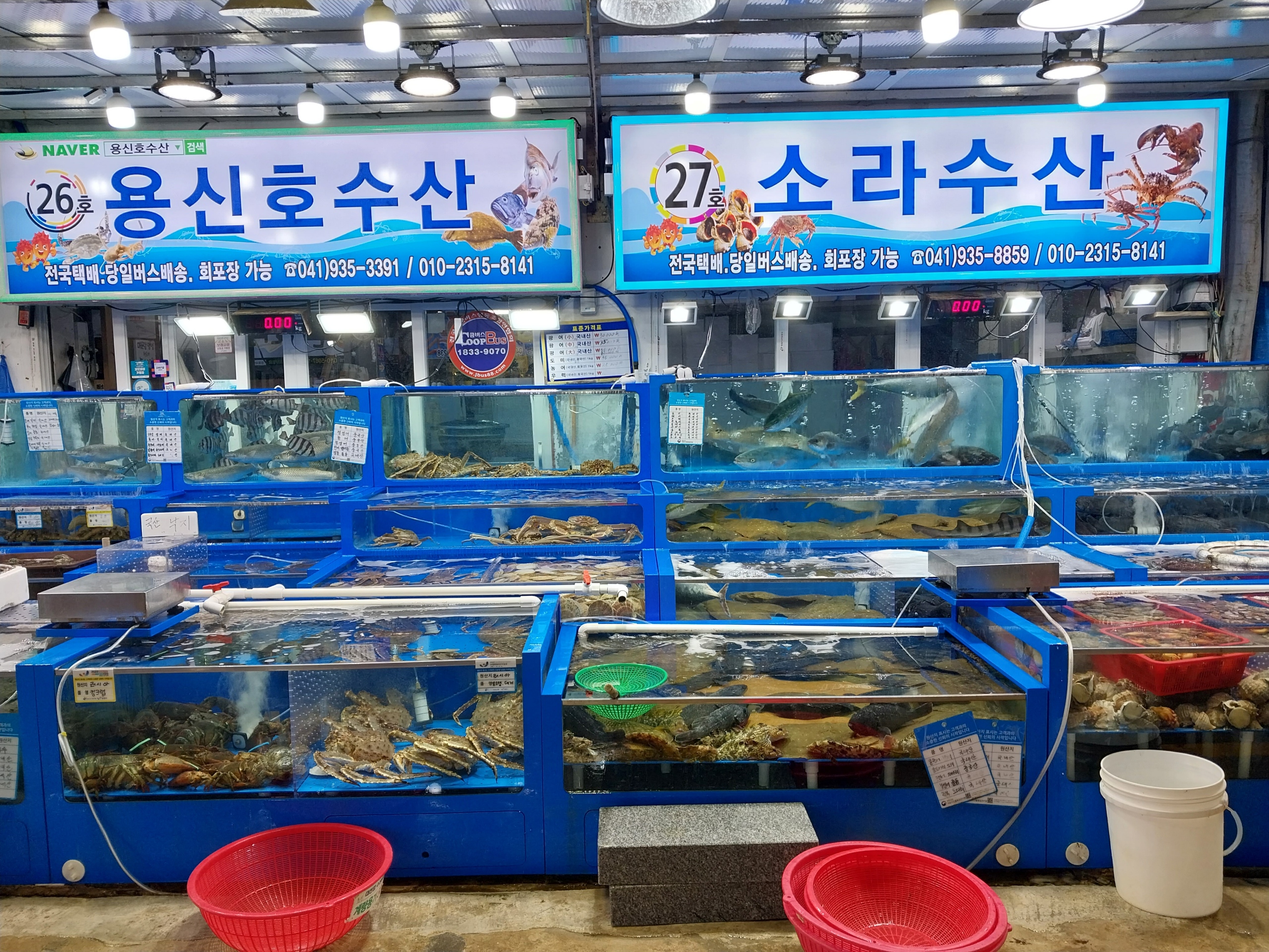 용신호 수산