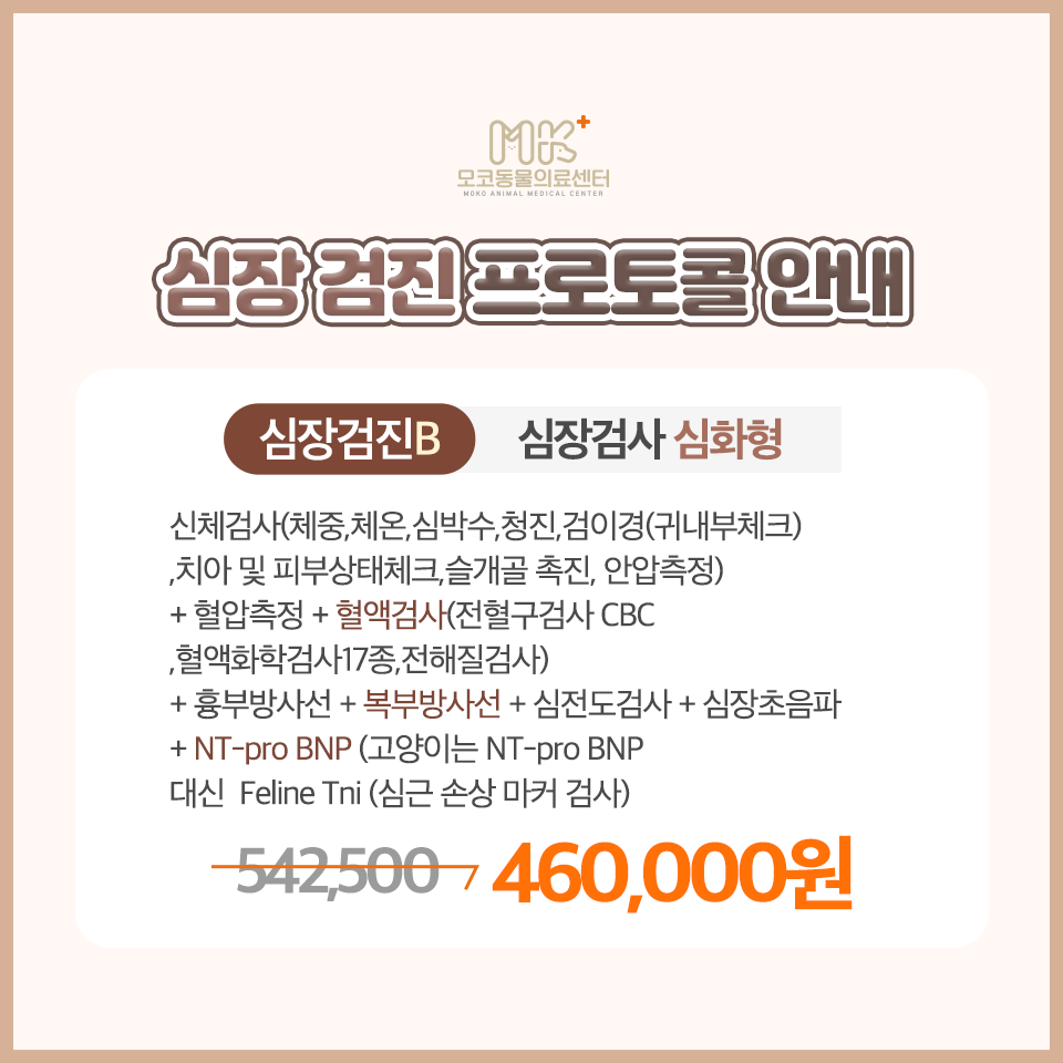 모코동물의료센터