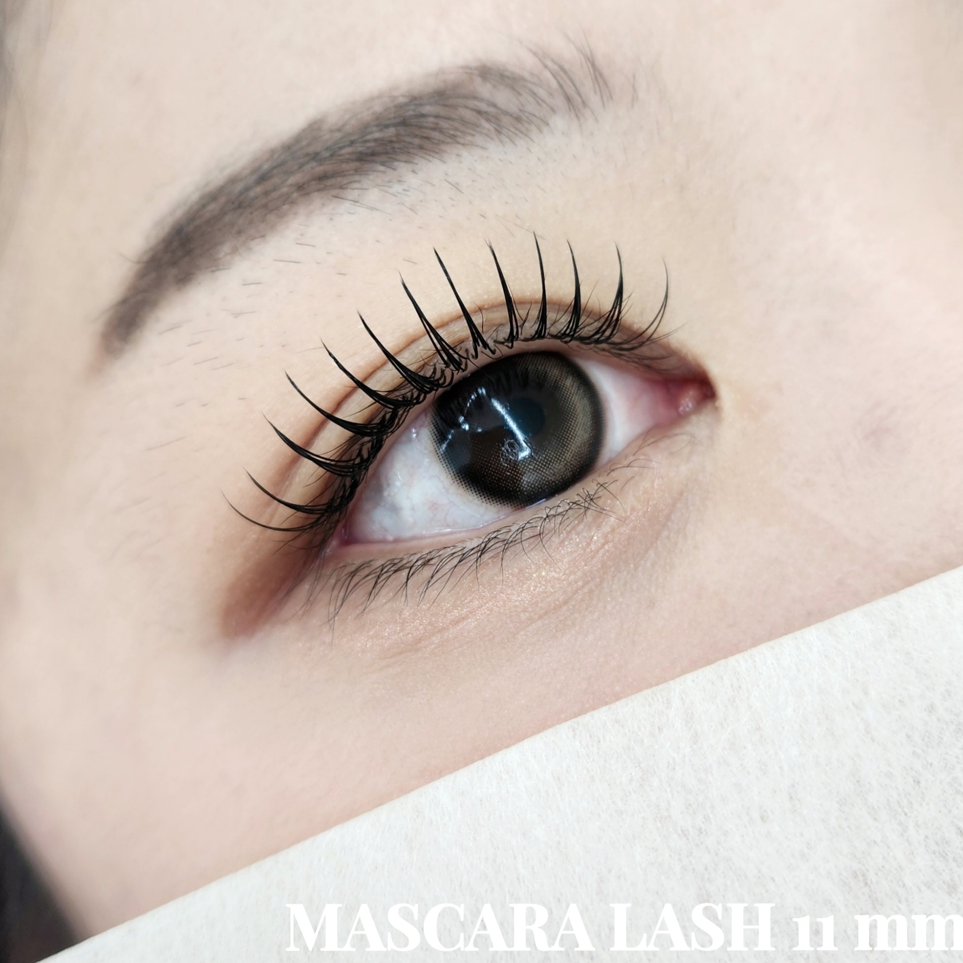 아이즈 대표 이미지