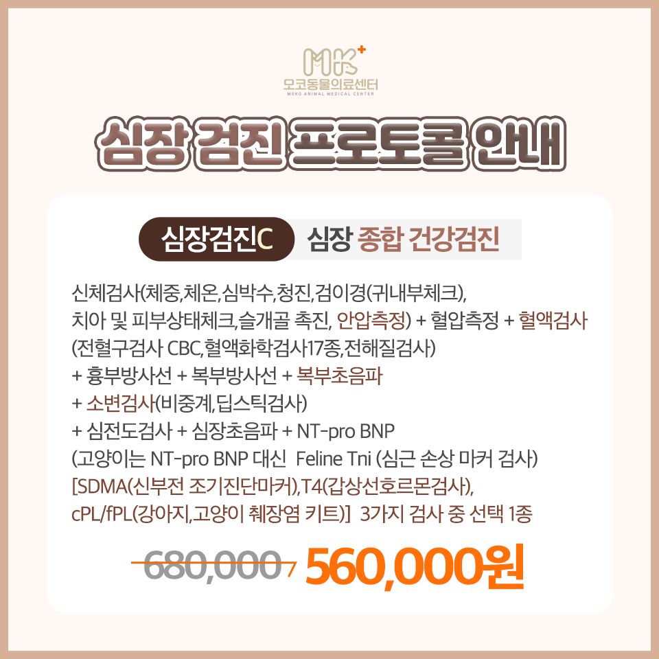 모코동물의료센터 대표 이미지