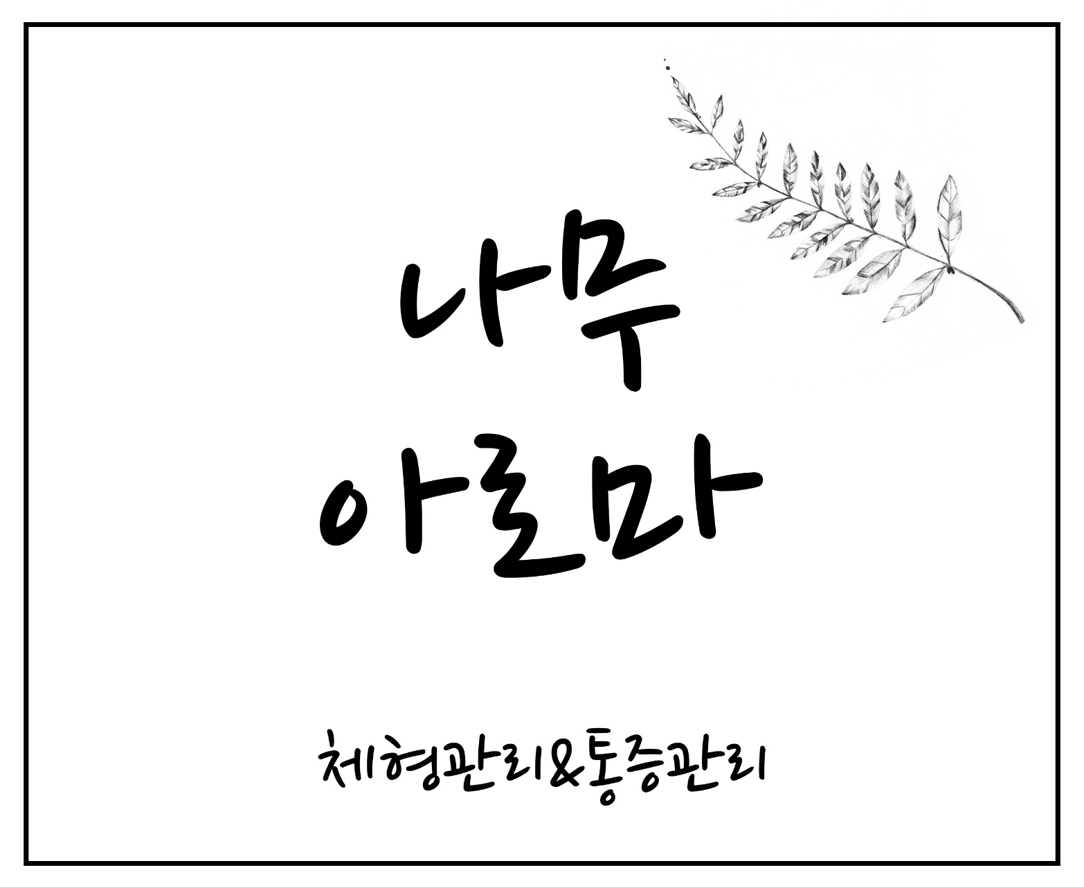 나무 아로마
