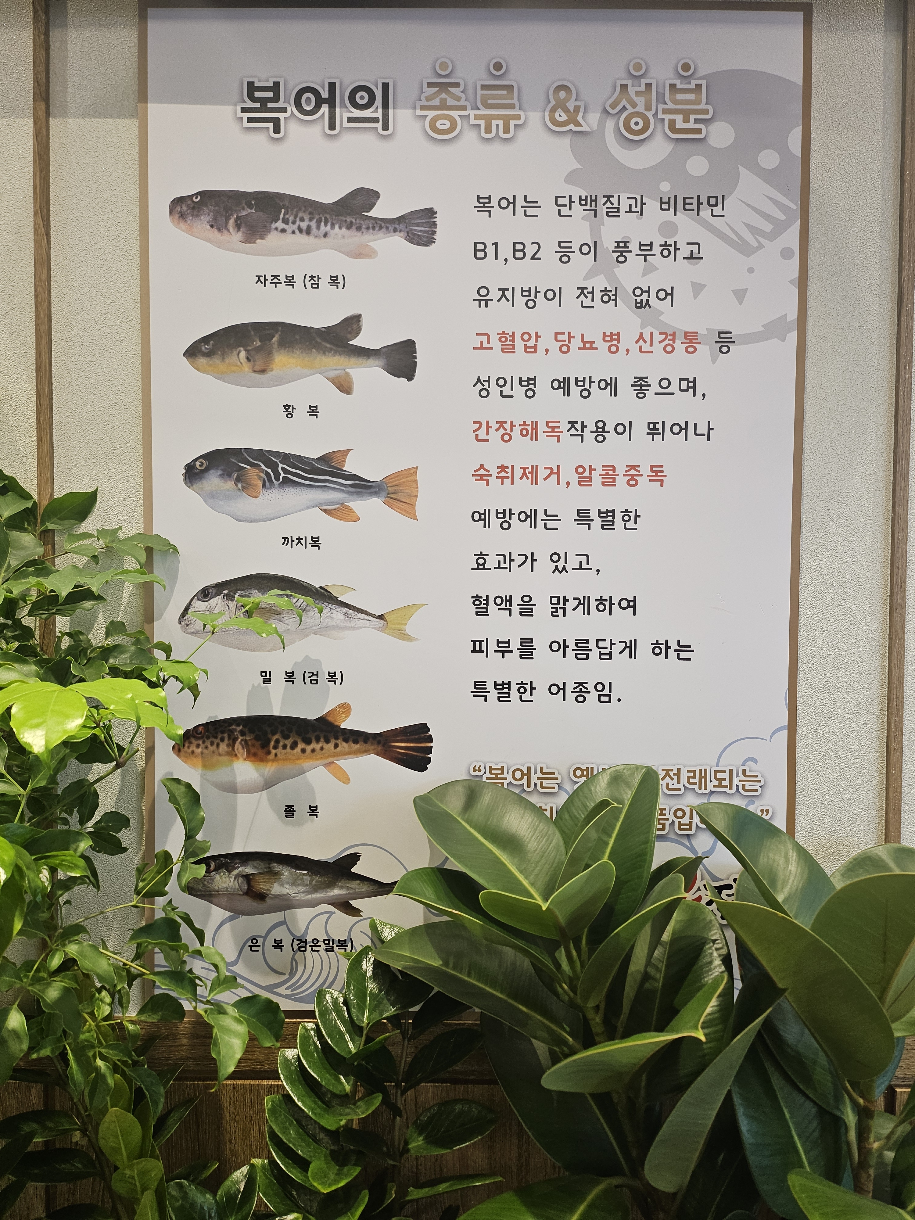 굴러들어온복집