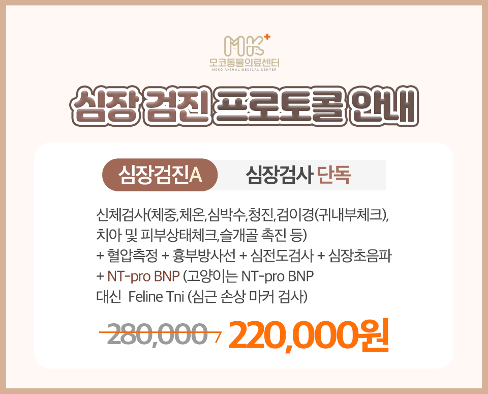 모코동물의료센터 대표 이미지
