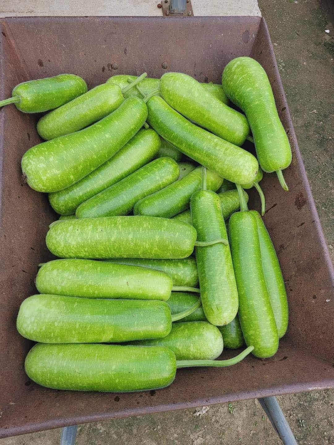 하영아시아마트