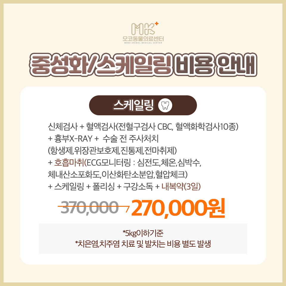 모코동물의료센터