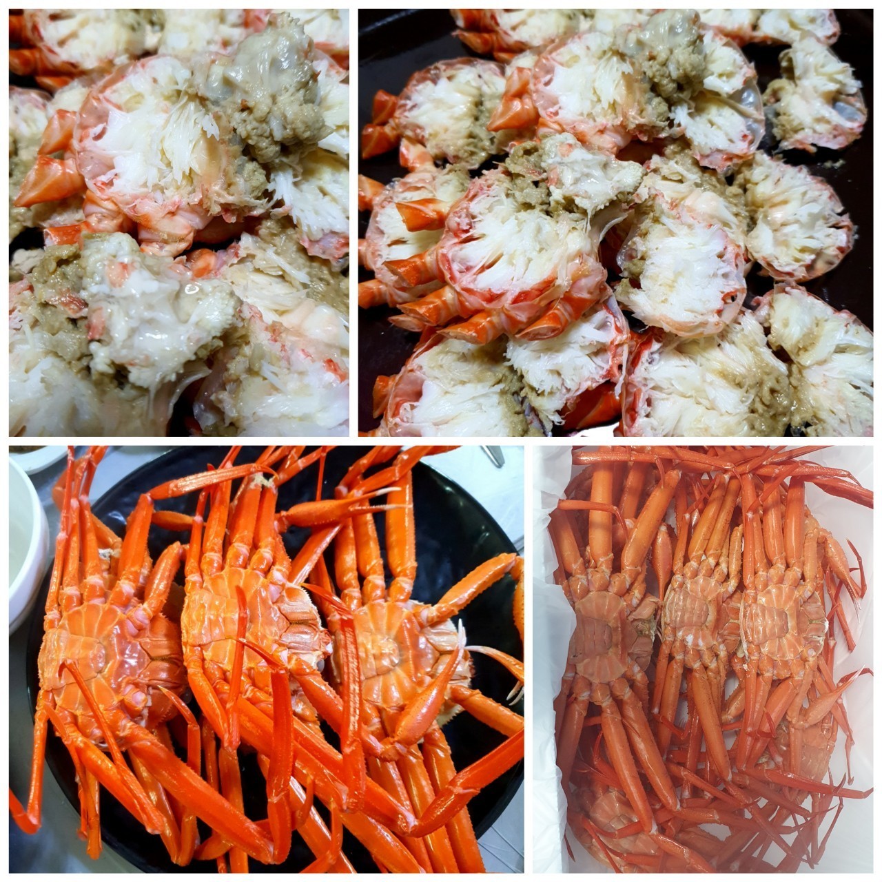 앗싸 대게