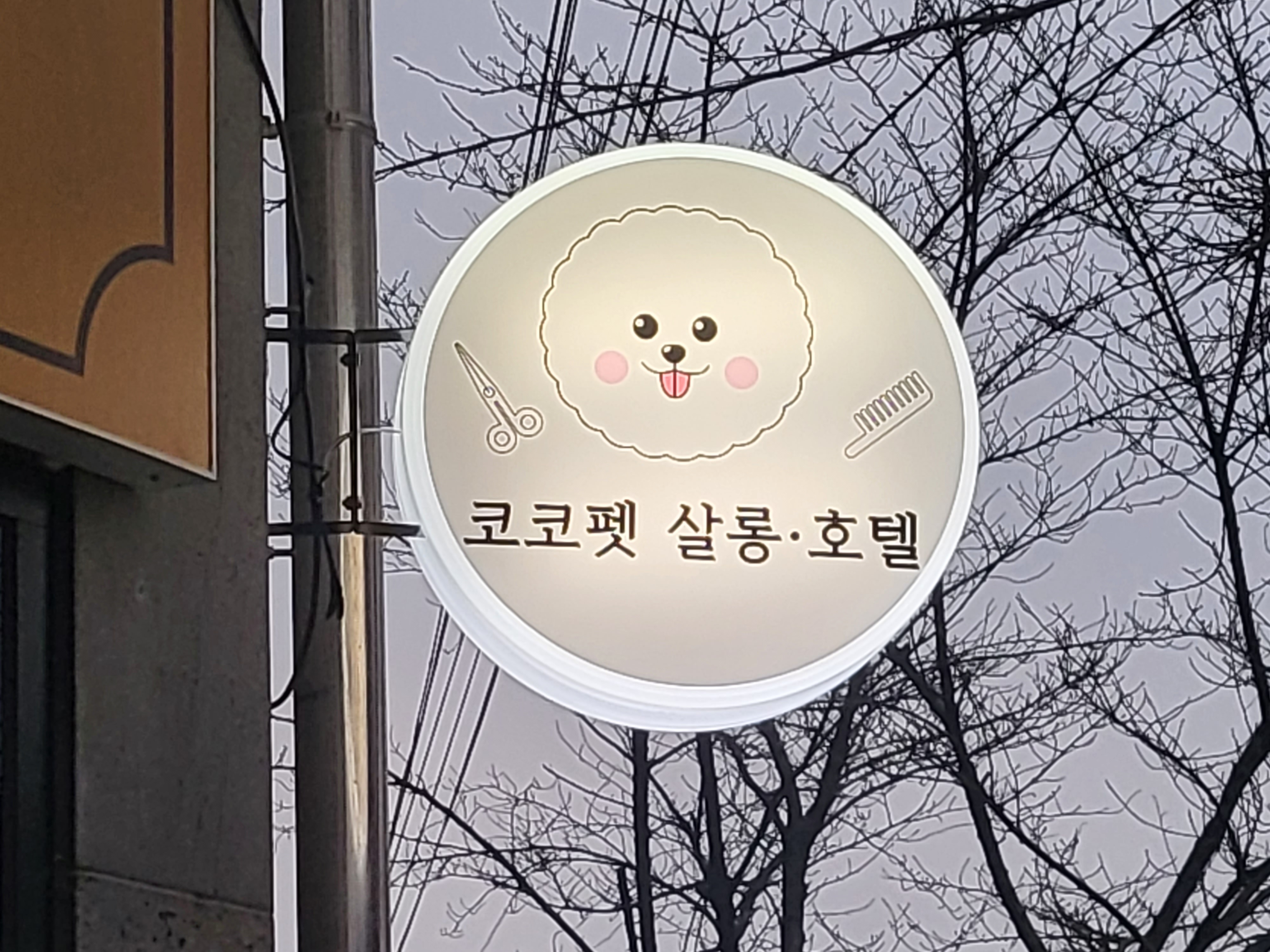코코펫살롱,호텔